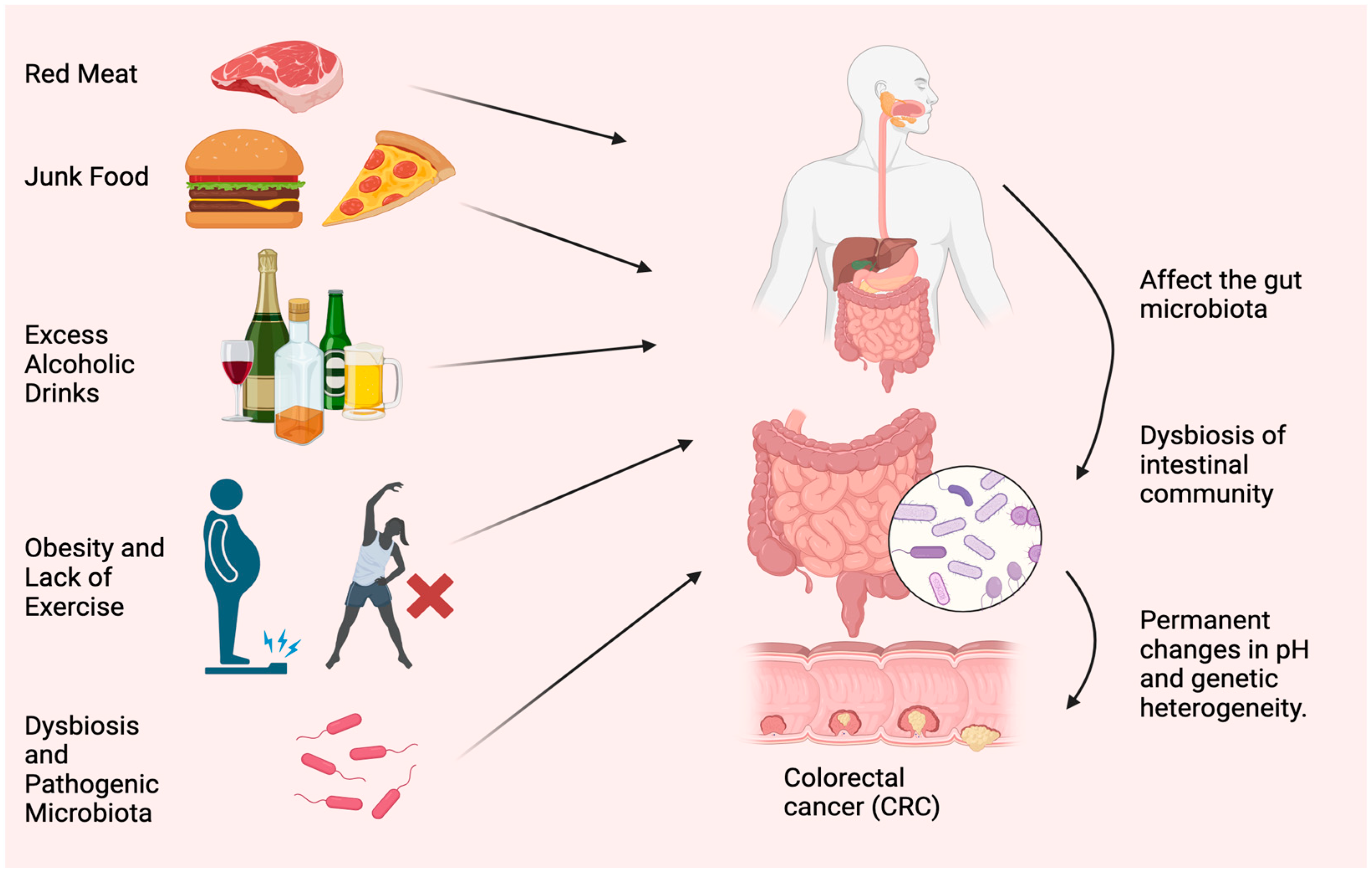 Biomedicines 11 03196 g001