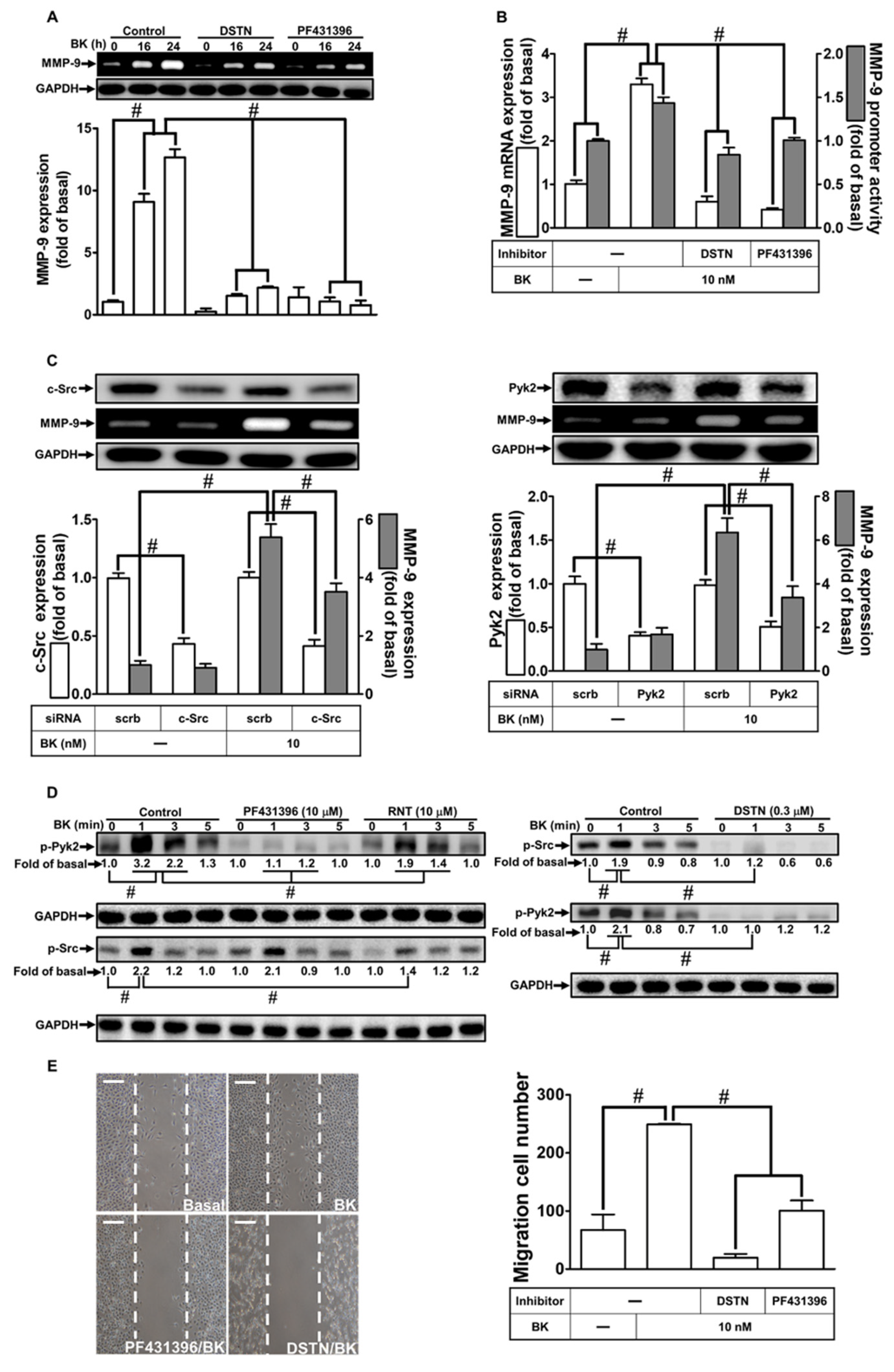 Biomedicines 11 03198 g002 Biomedicines 11 03198 g002