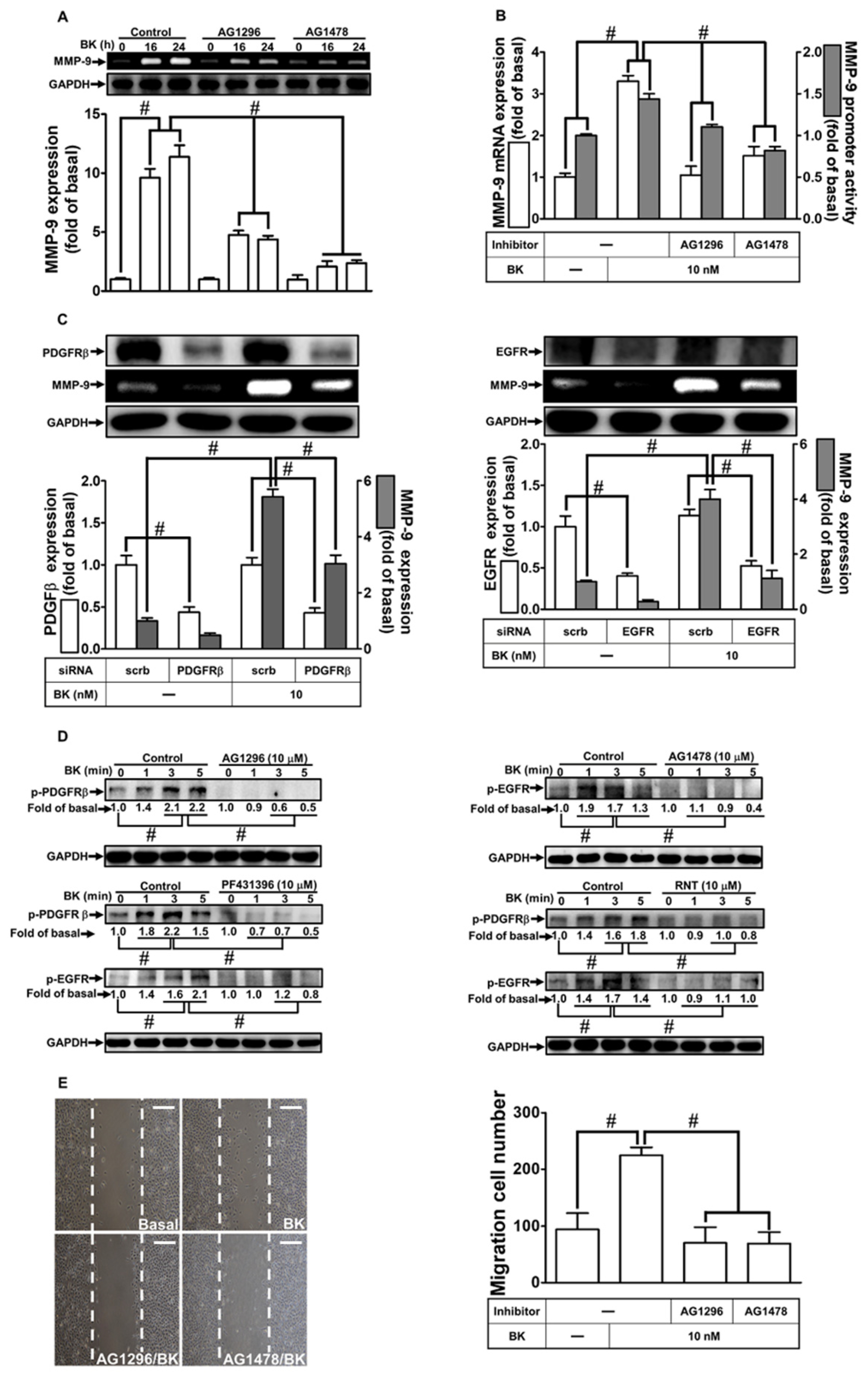 Biomedicines 11 03198 g003 Biomedicines 11 03198 g003