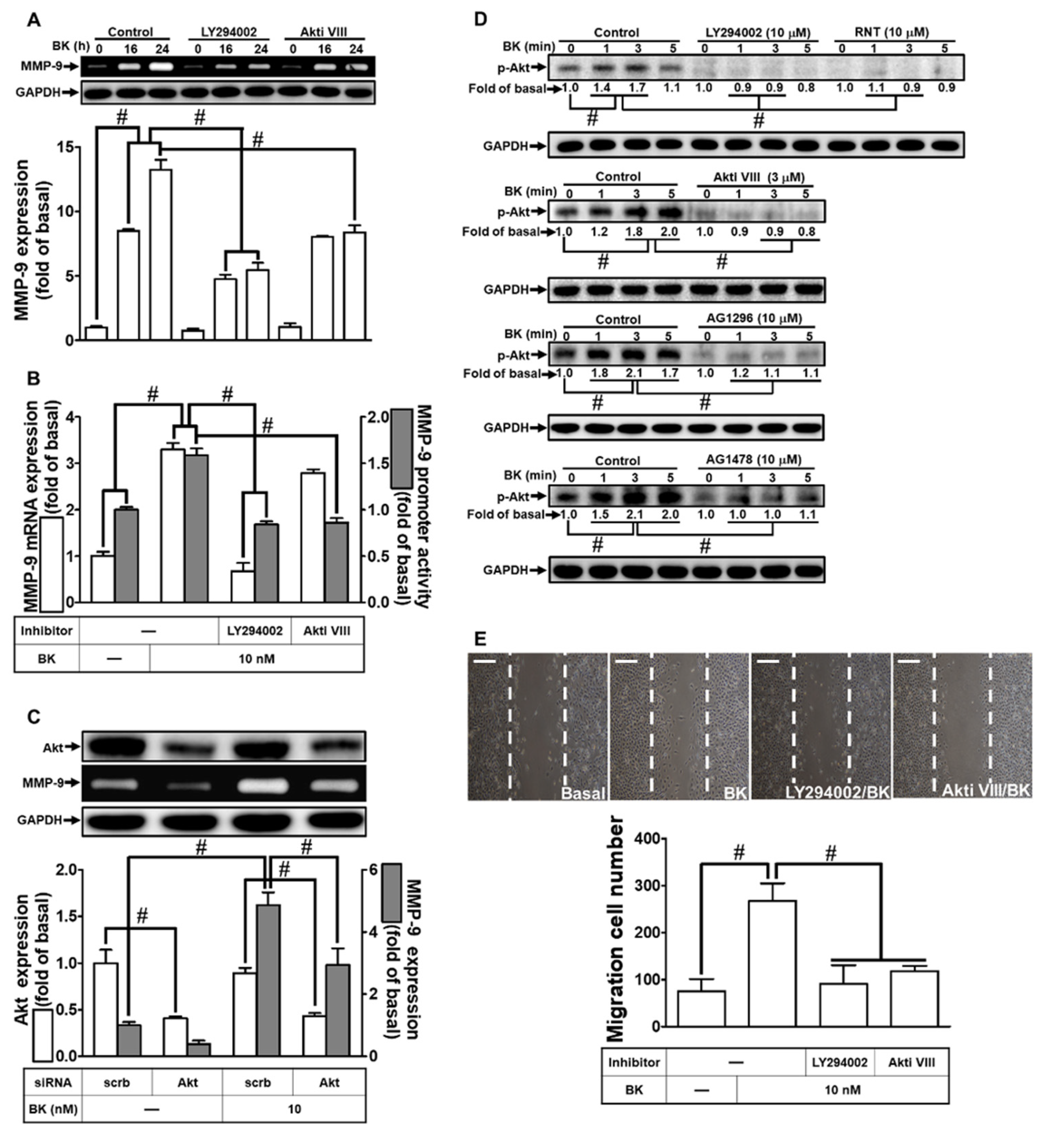 Biomedicines 11 03198 g004 Biomedicines 11 03198 g004