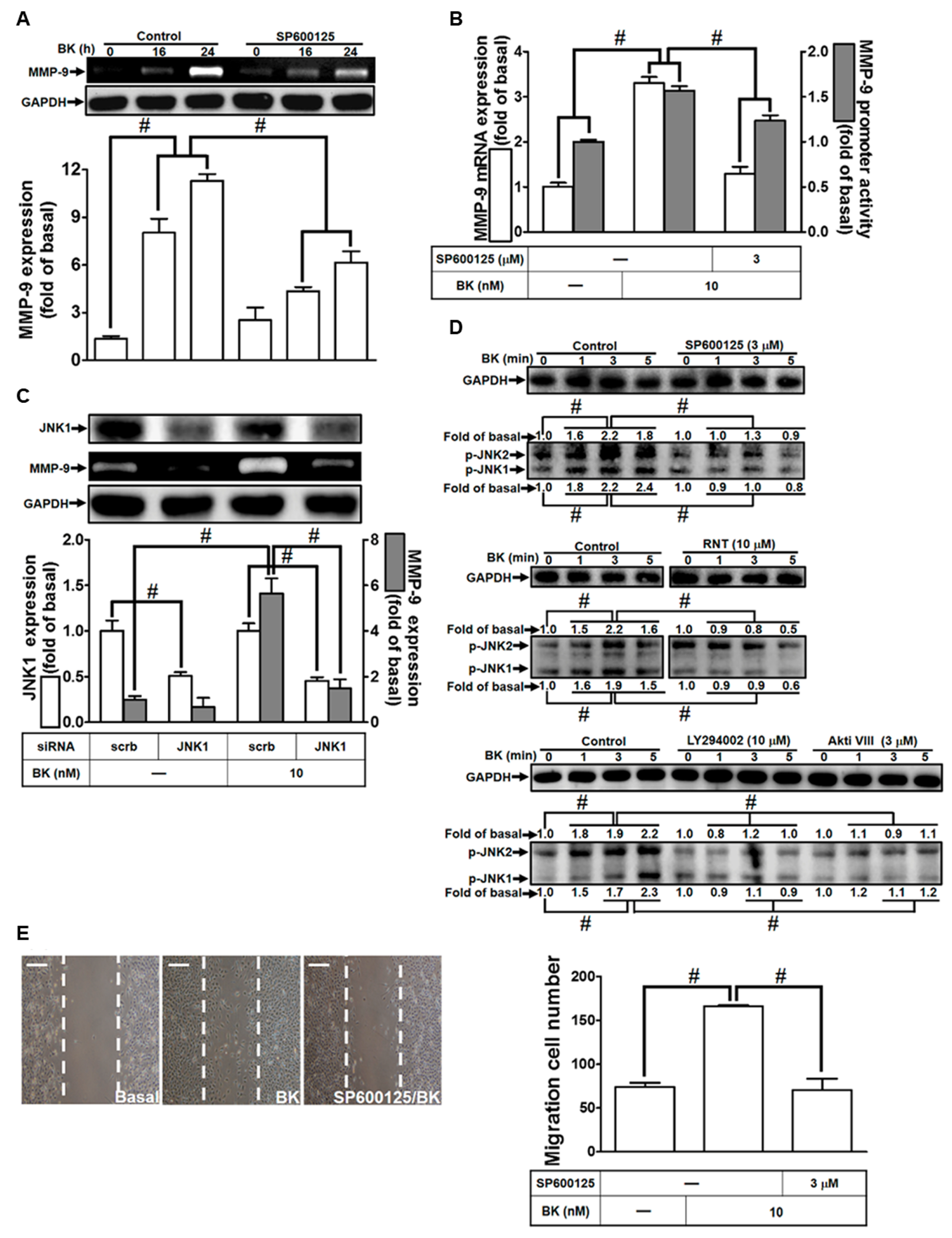 Biomedicines 11 03198 g005 Biomedicines 11 03198 g005
