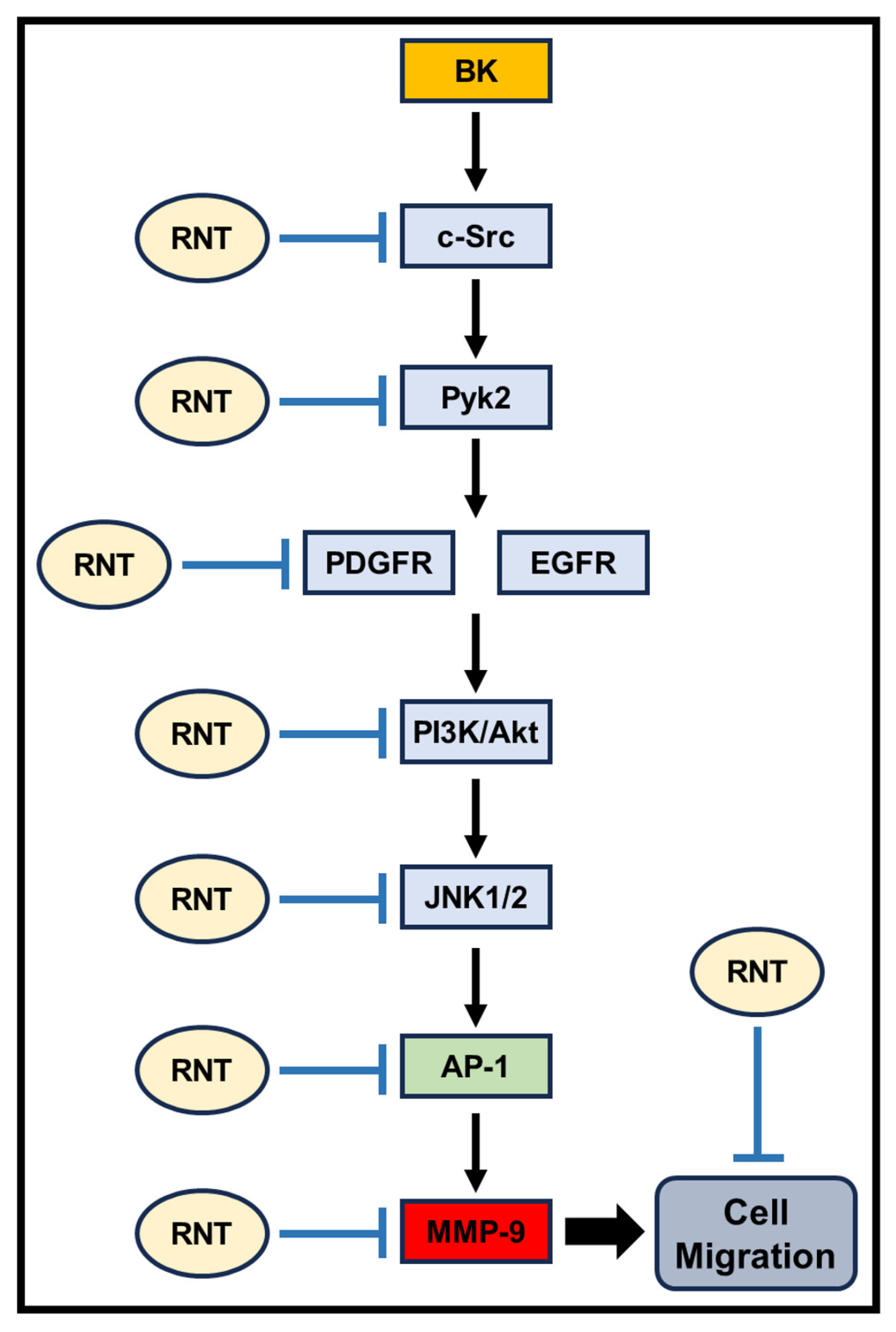 Biomedicines 11 03198 g007 Biomedicines 11 03198 g007