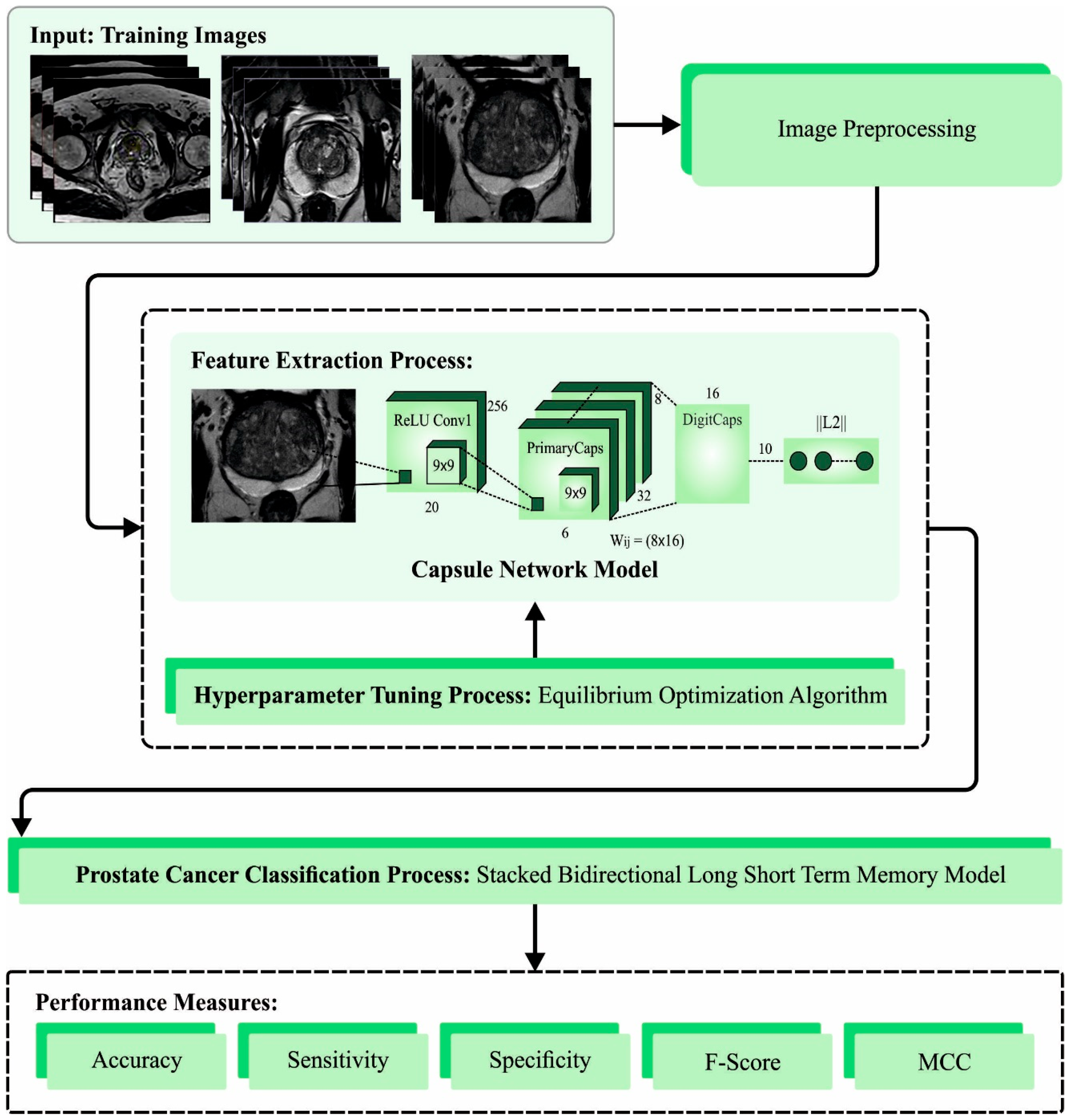 Biomedicines 11 03200 g001 Biomedicines 11 03200 g001