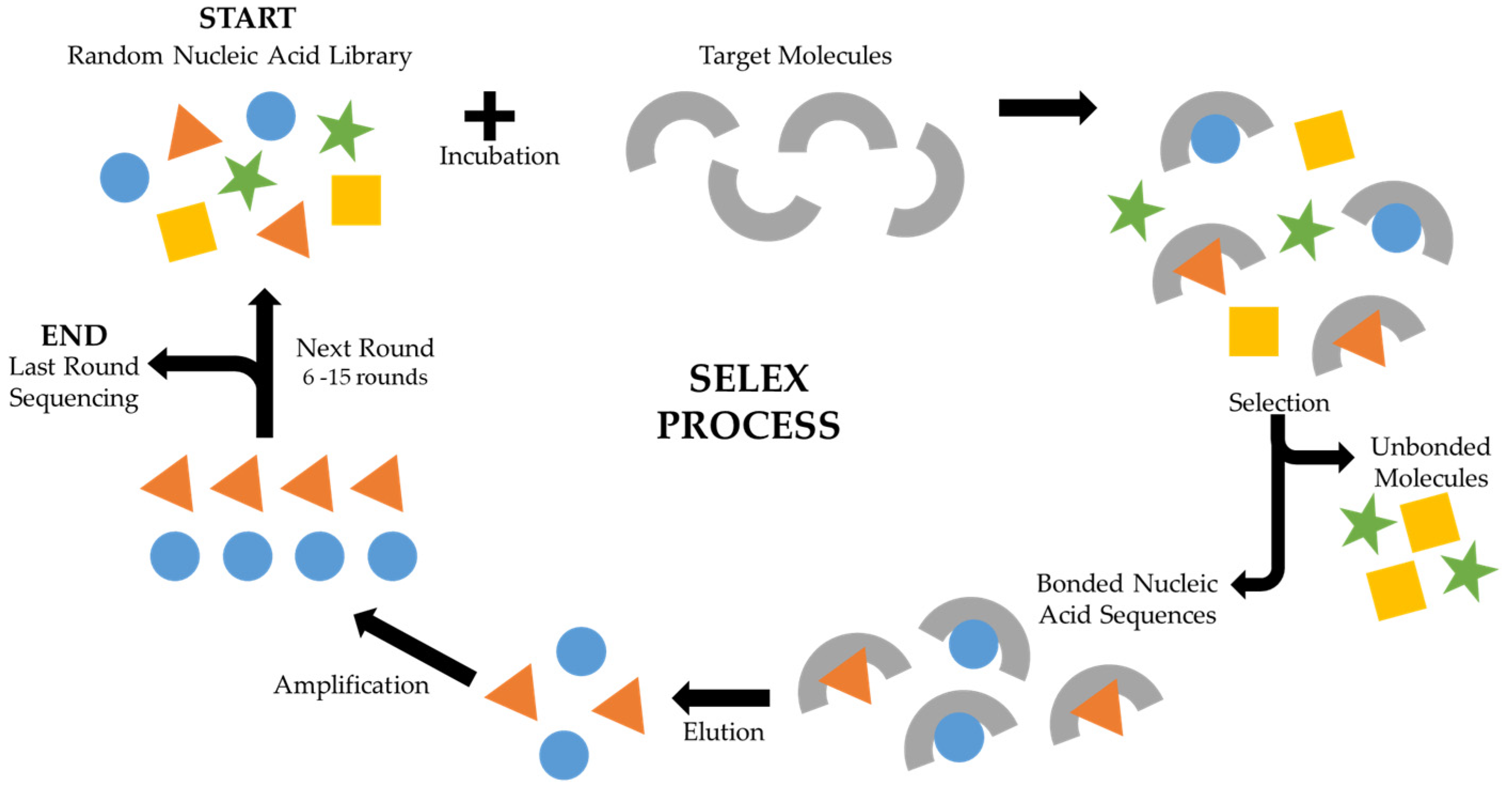 Biomedicines 11 03201 g001