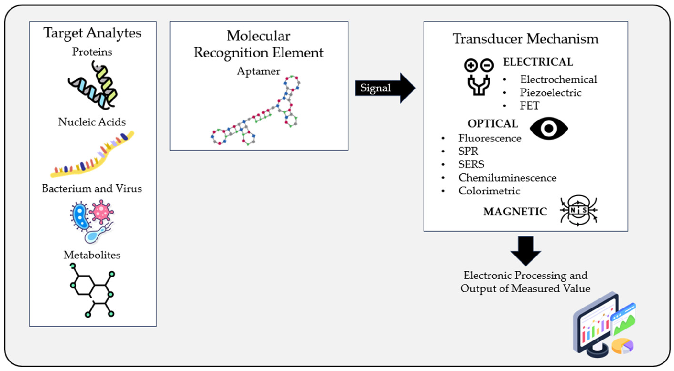 Biomedicines 11 03201 g002