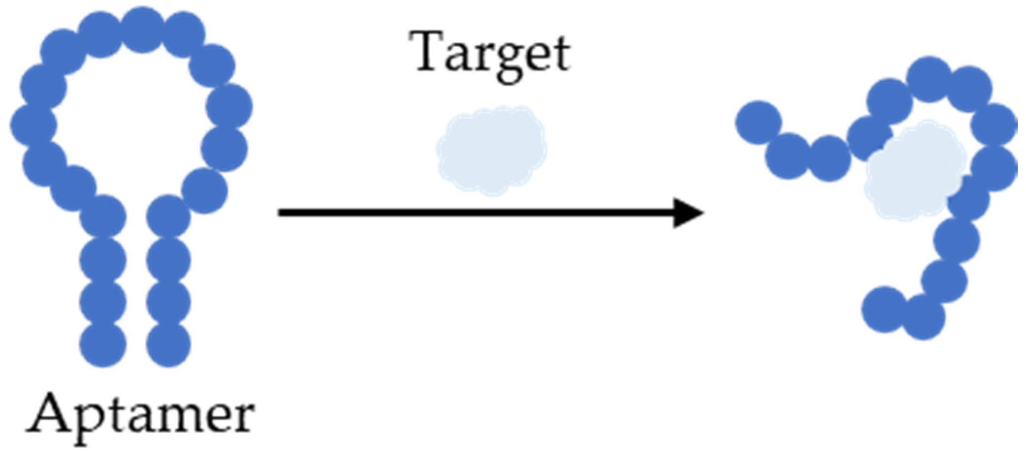Biomedicines 11 03201 g004