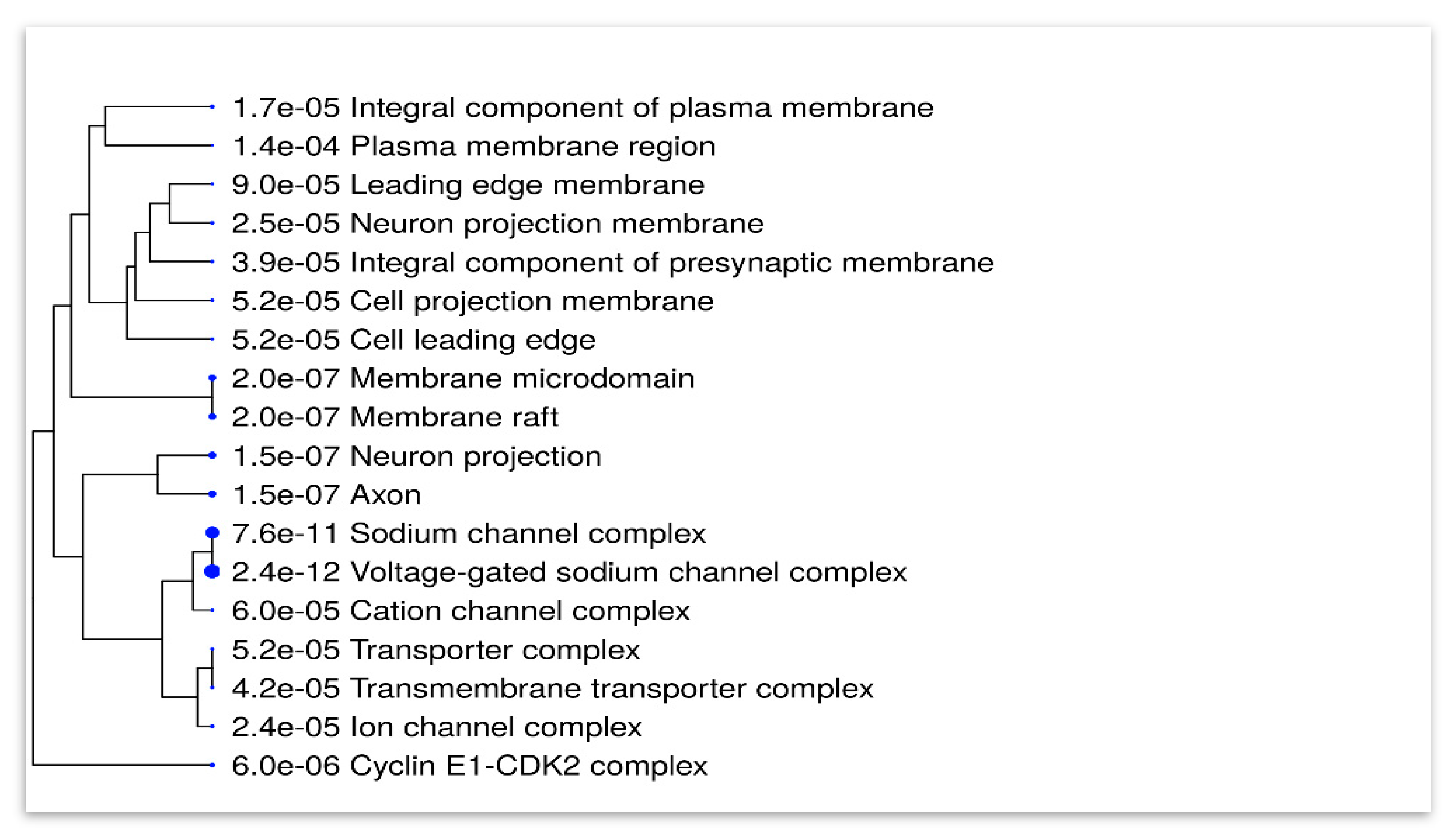 Biomedicines 11 03202 g002
