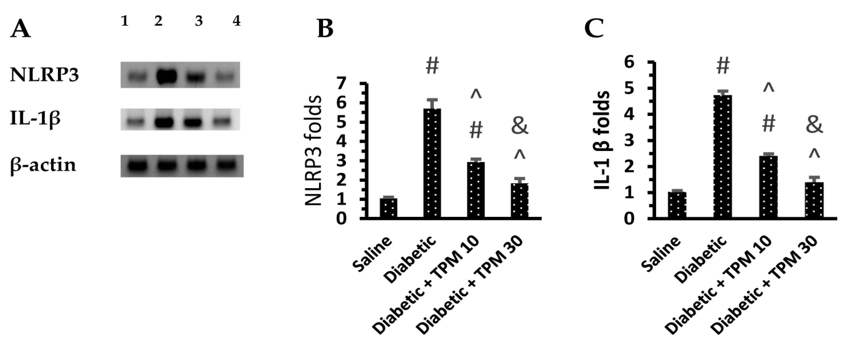 Biomedicines 11 03202 g005