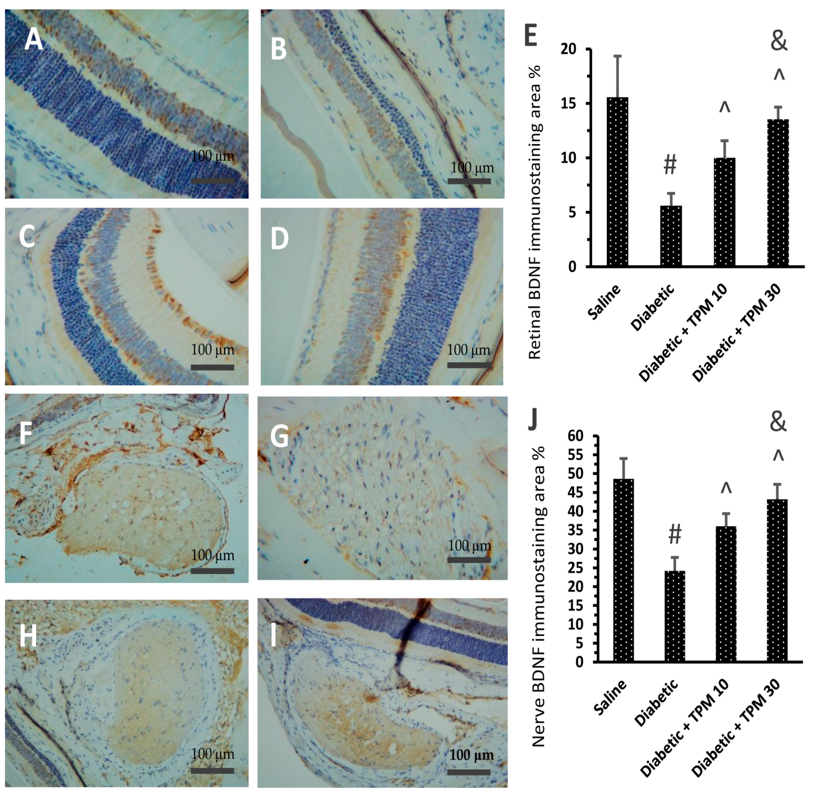 Biomedicines 11 03202 g007