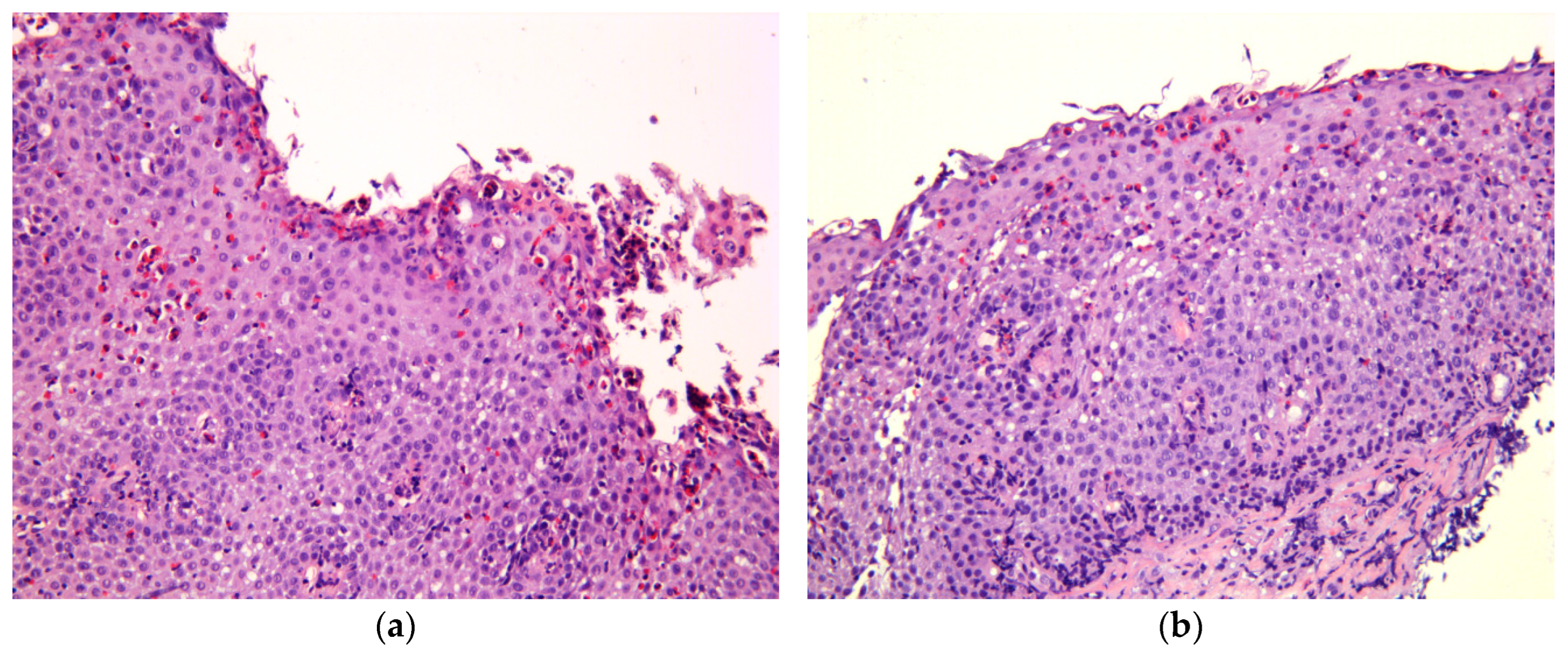 Biomedicines 11 03204 g001