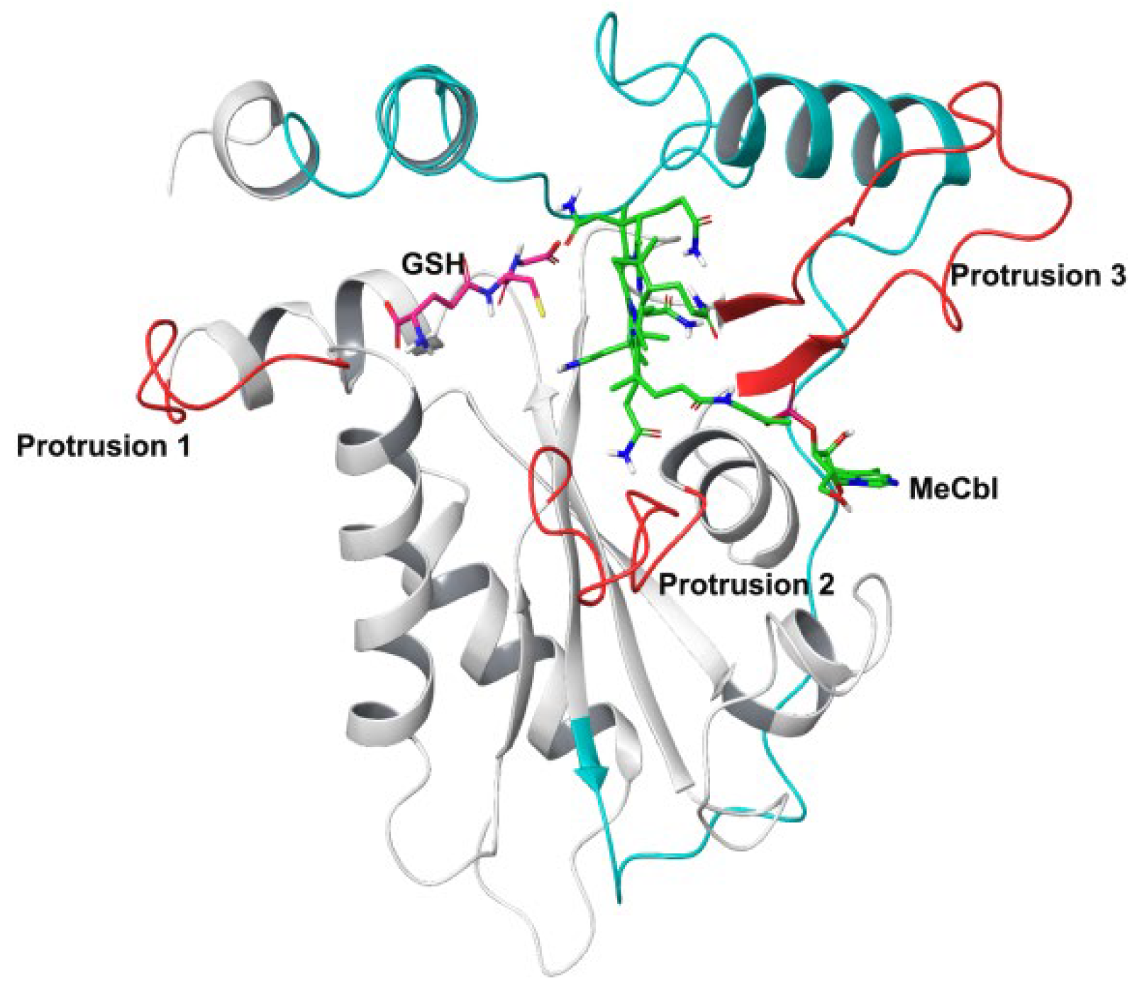 Biomedicines 11 03217 g001 Biomedicines 11 03217 g001