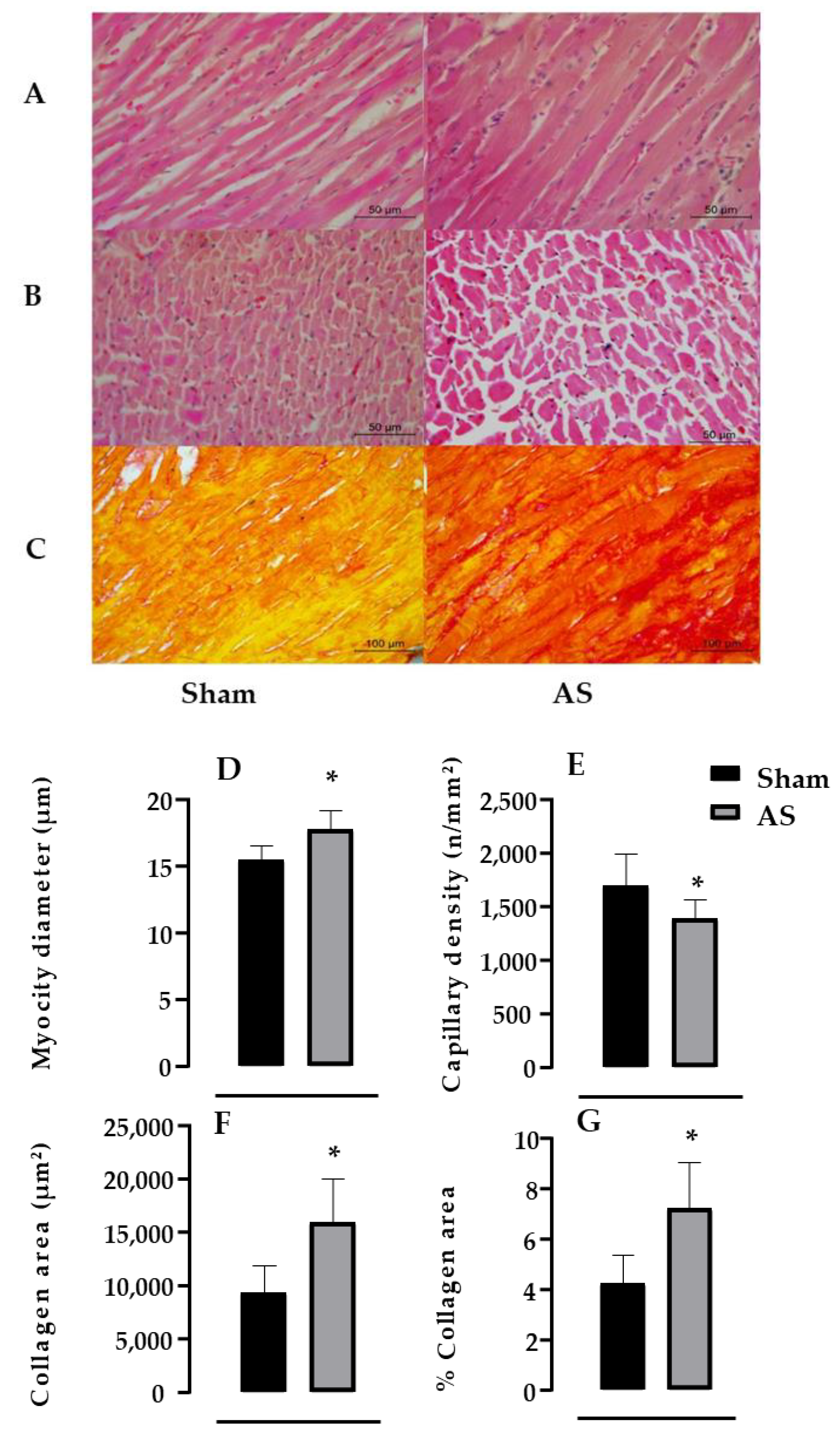 Biomedicines 11 03219 g003