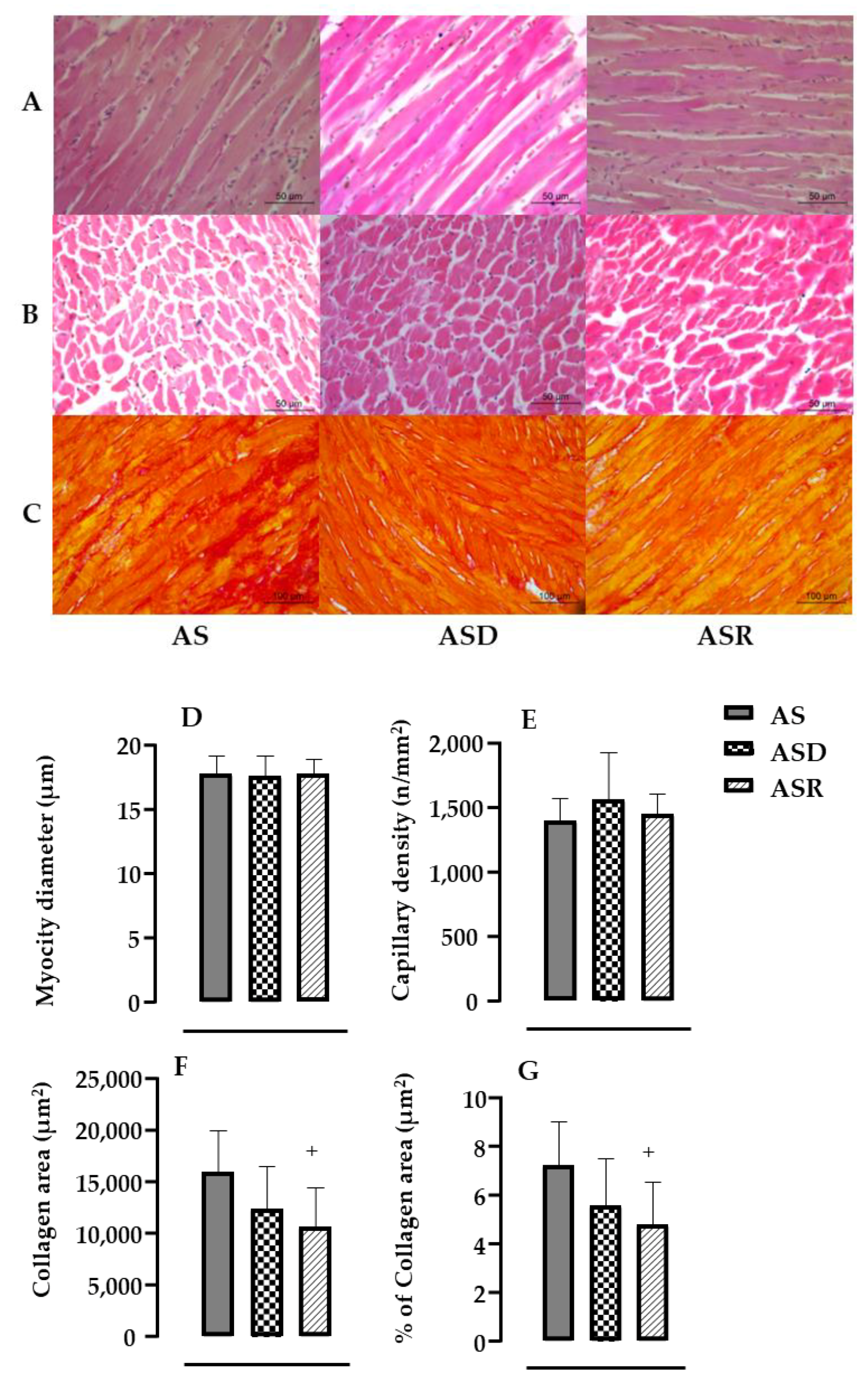 Biomedicines 11 03219 g006