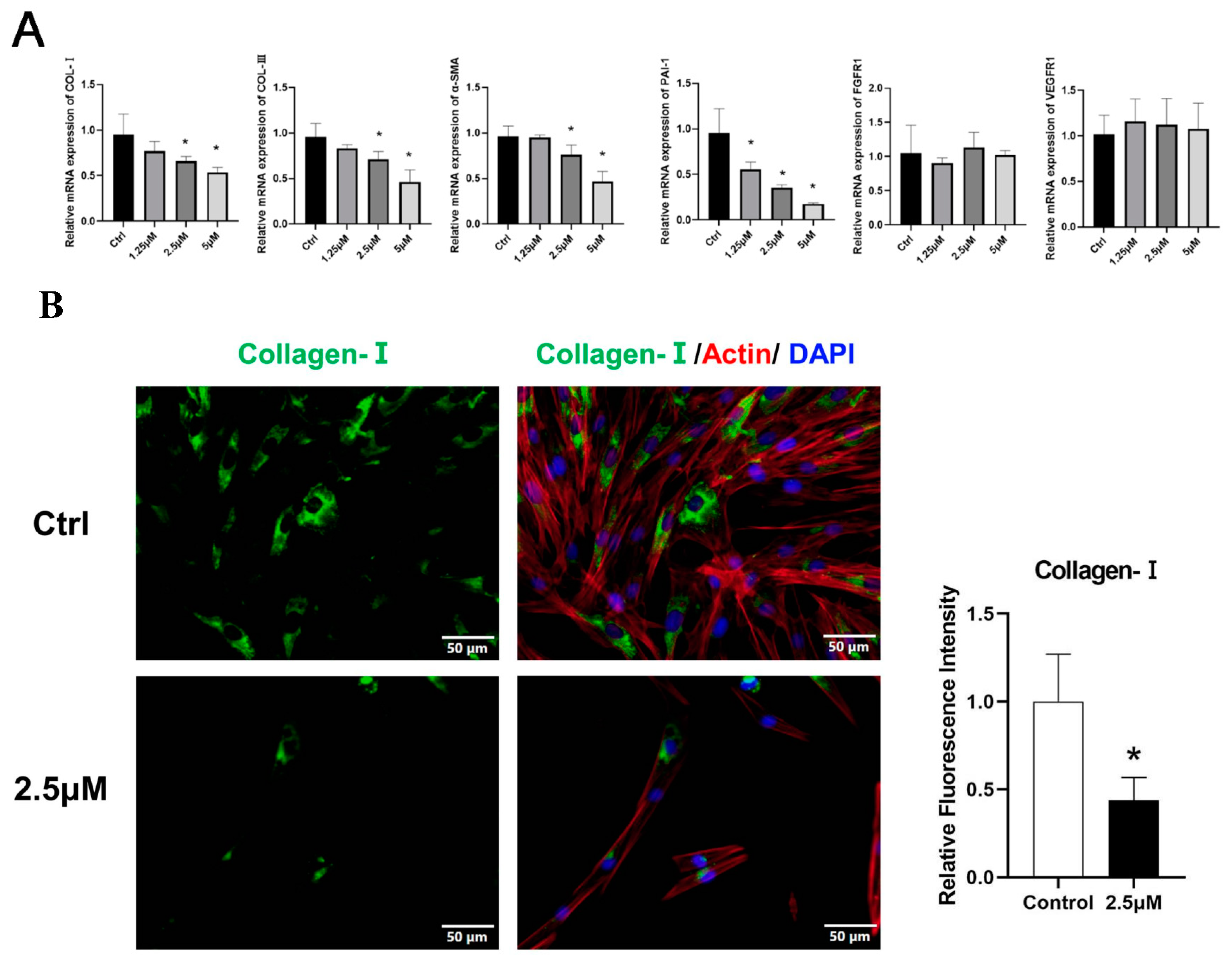 Biomedicines 11 03220 g003a