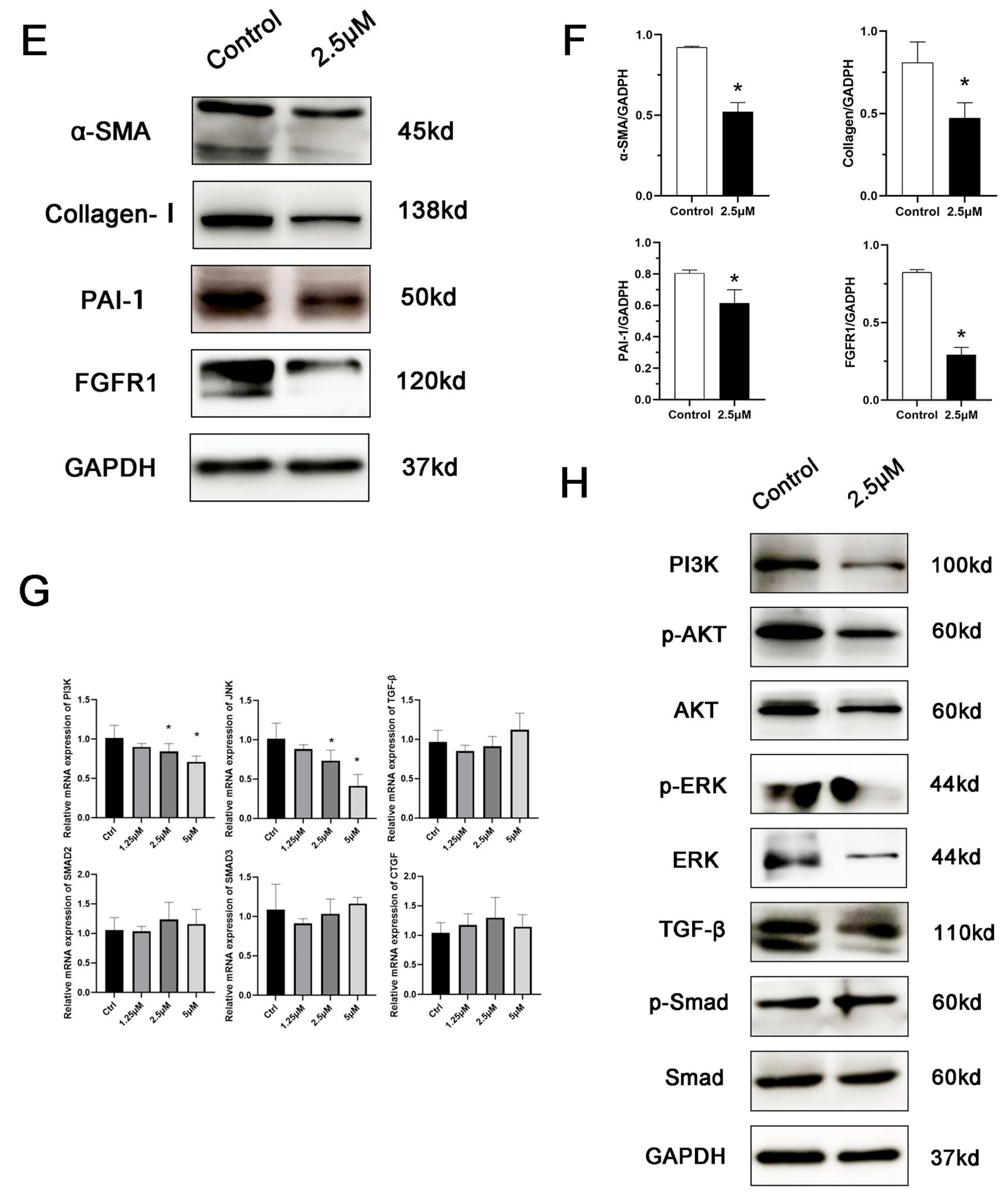 Biomedicines 11 03220 g003c