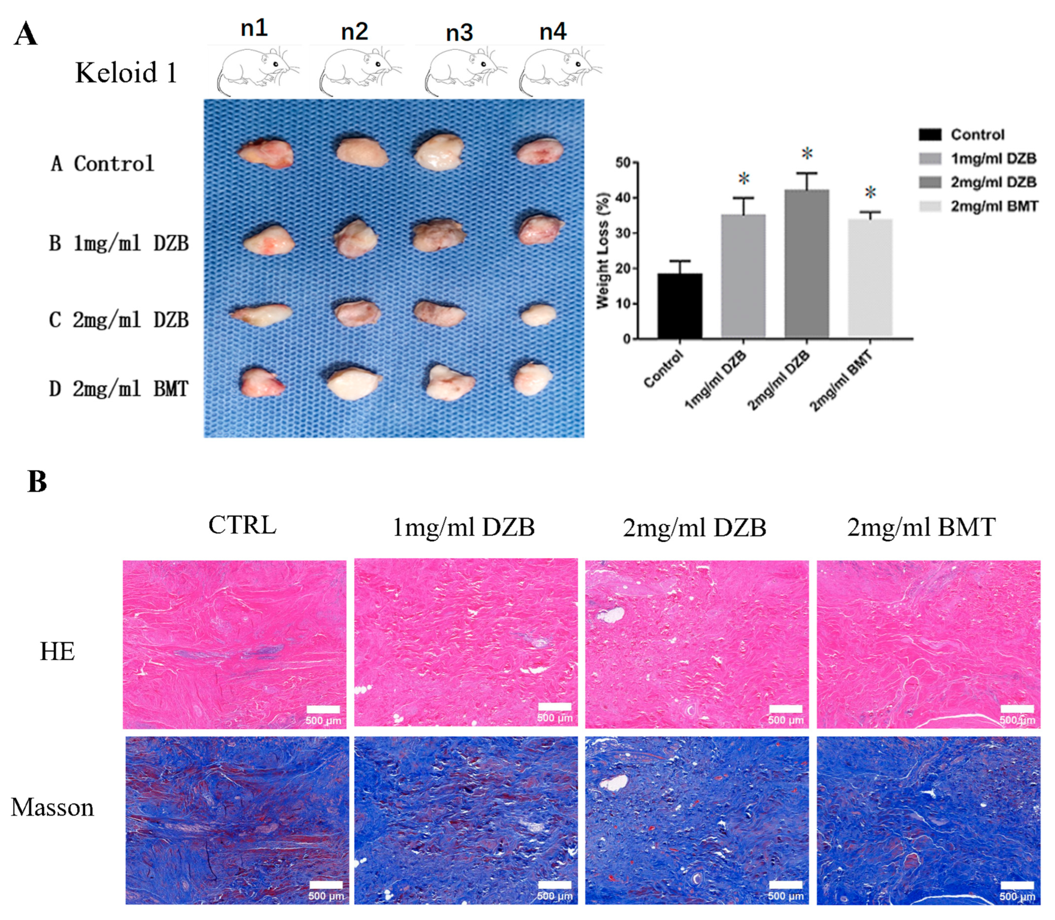 Biomedicines 11 03220 g004a