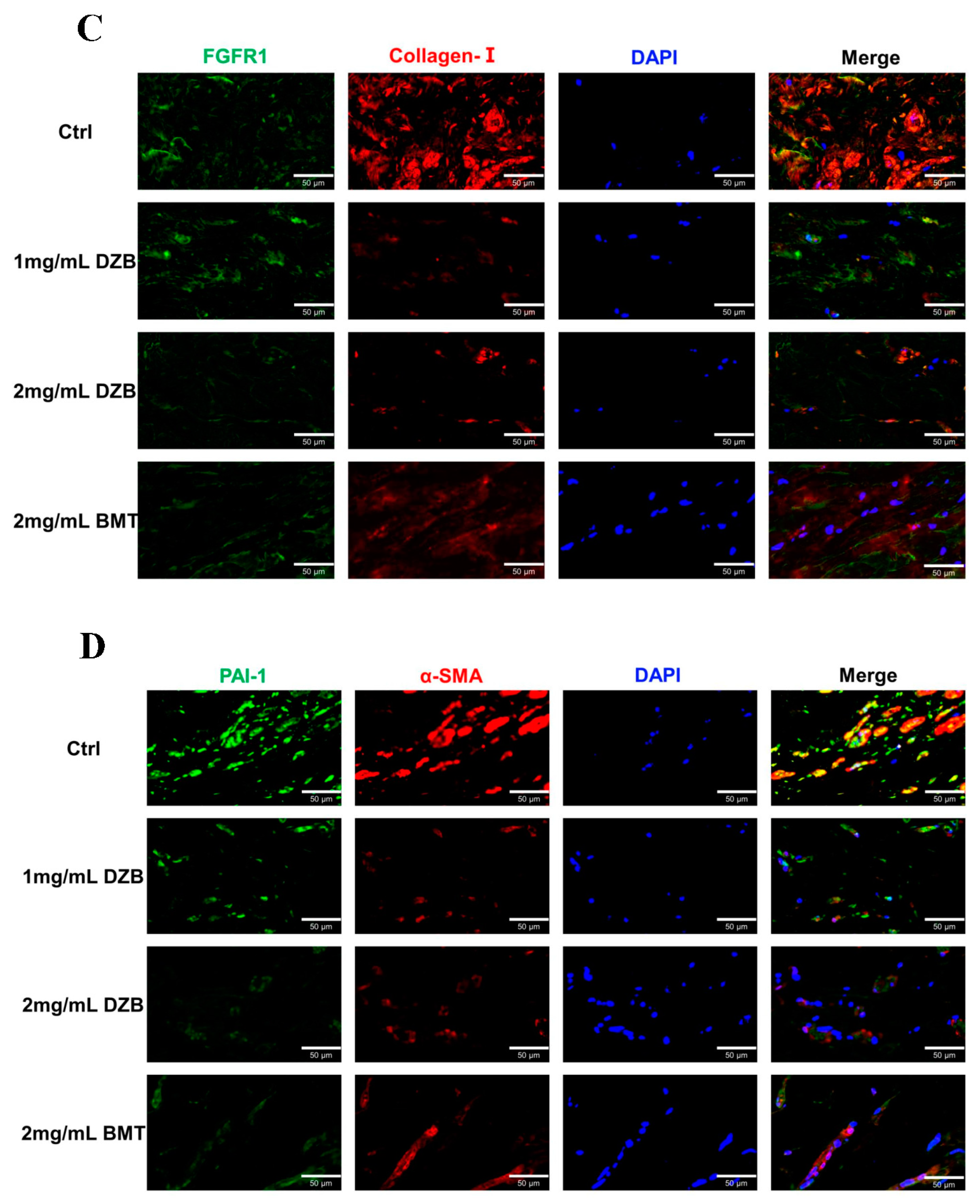 Biomedicines 11 03220 g004b