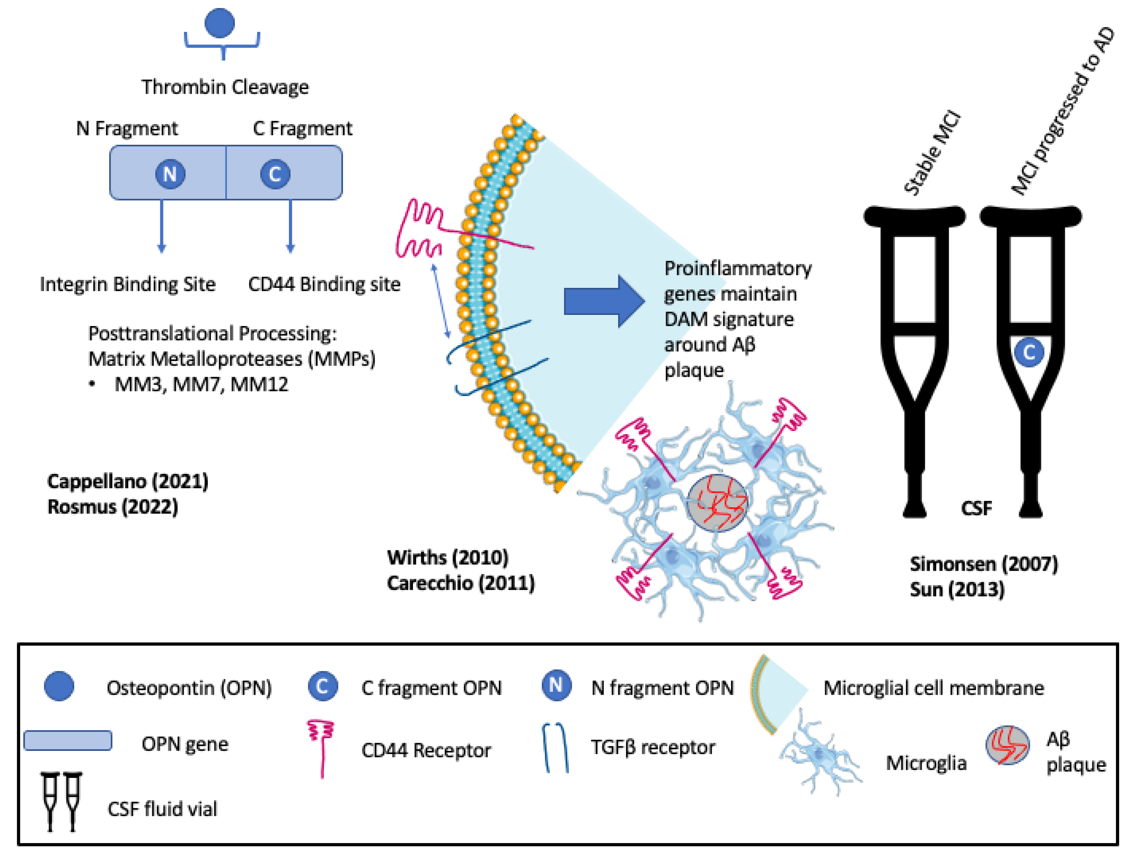 Biomedicines 11 03232 g002 Biomedicines 11 03232 g002