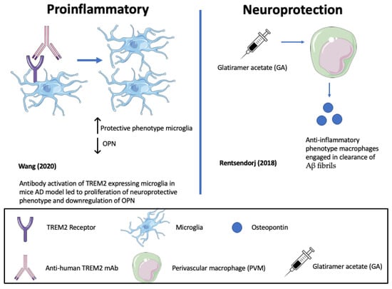Biomedicines 11 03232 g003 Biomedicines 11 03232 g003