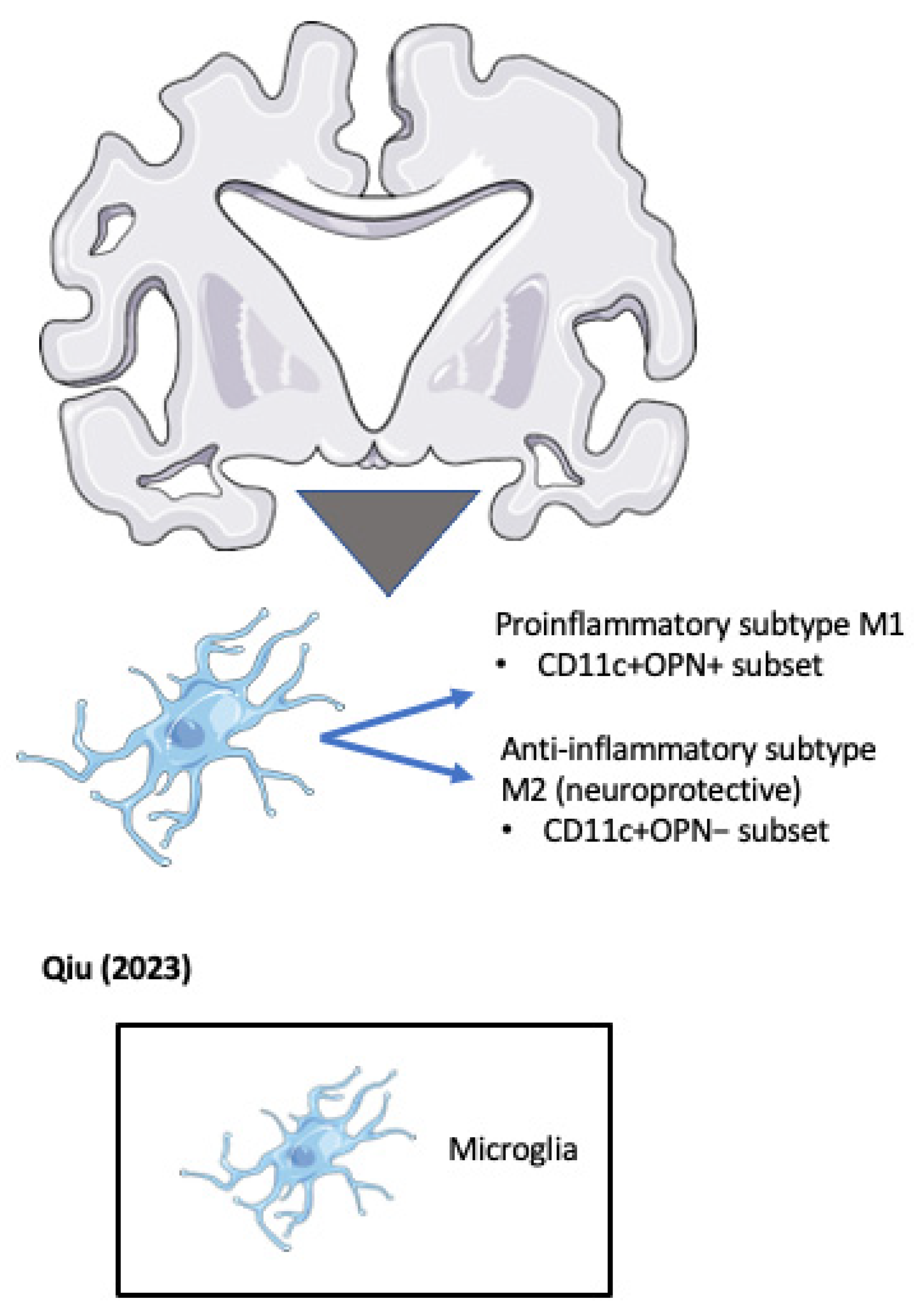 Biomedicines 11 03232 g005 Biomedicines 11 03232 g005