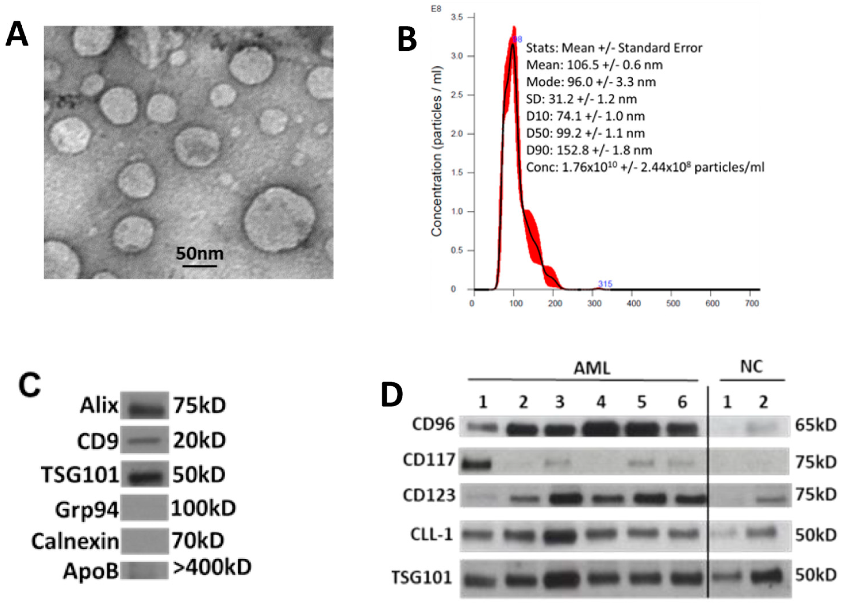 Biomedicines 11 03236 g001