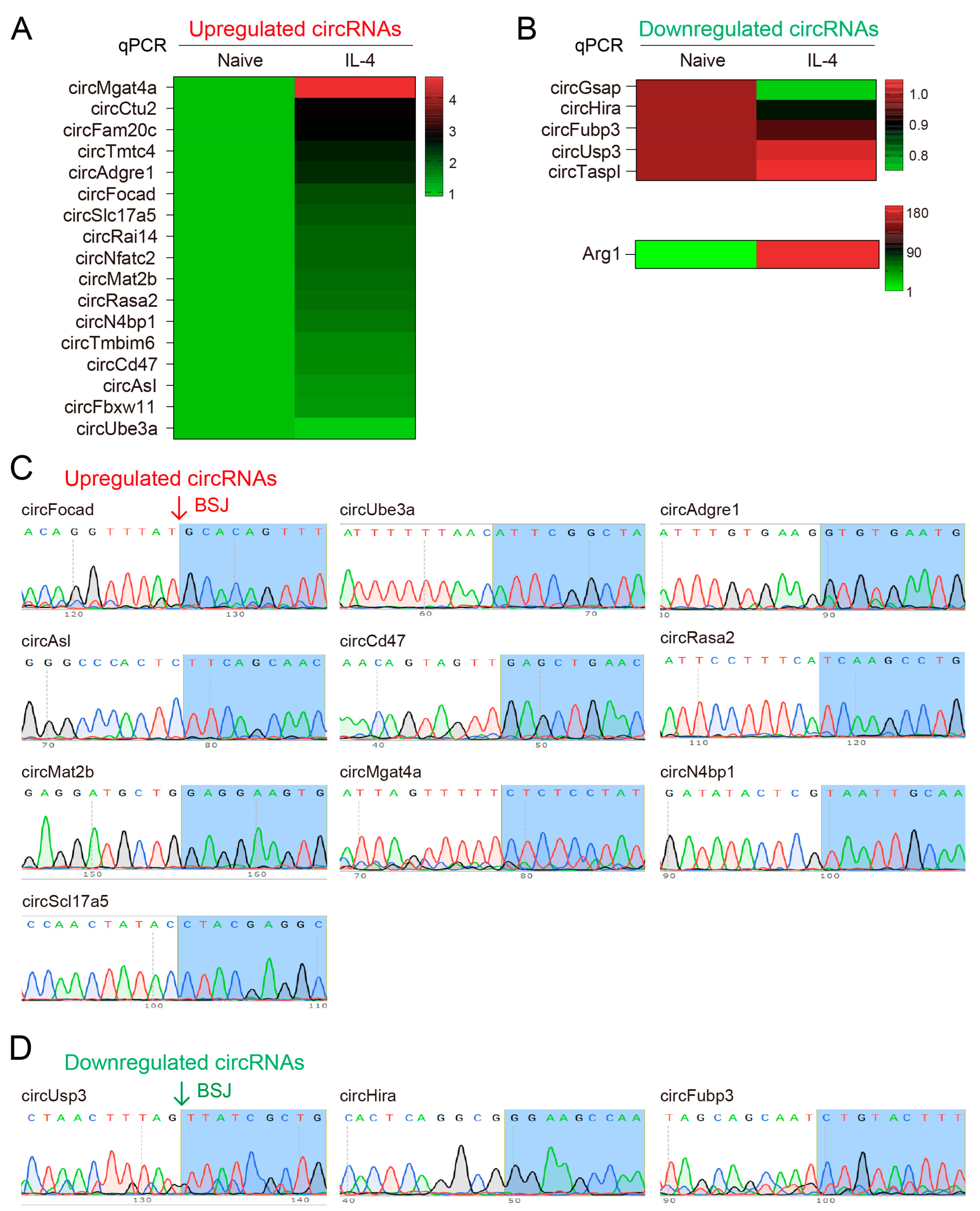 Biomedicines 11 03239 g003