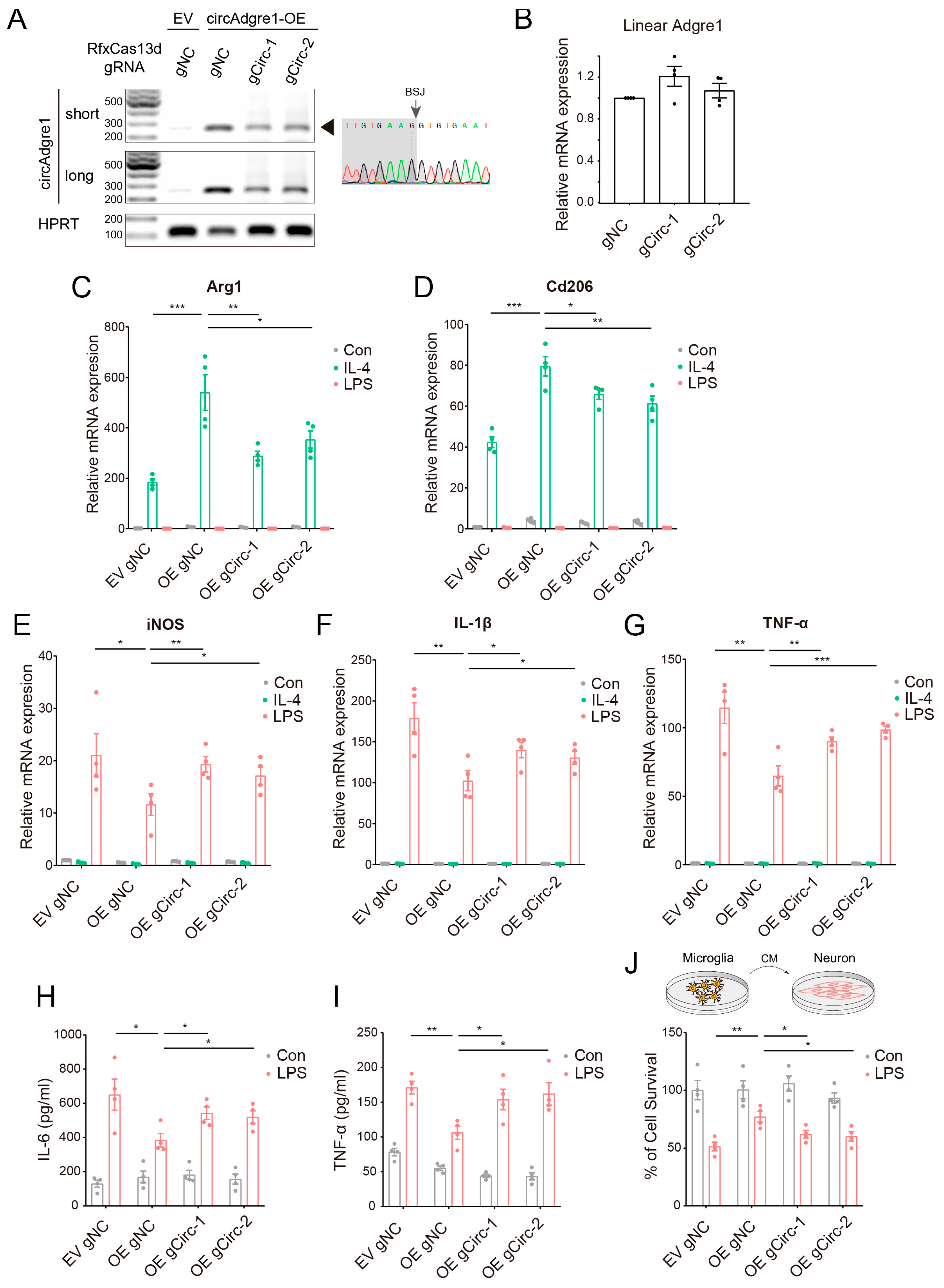 Biomedicines 11 03239 g005