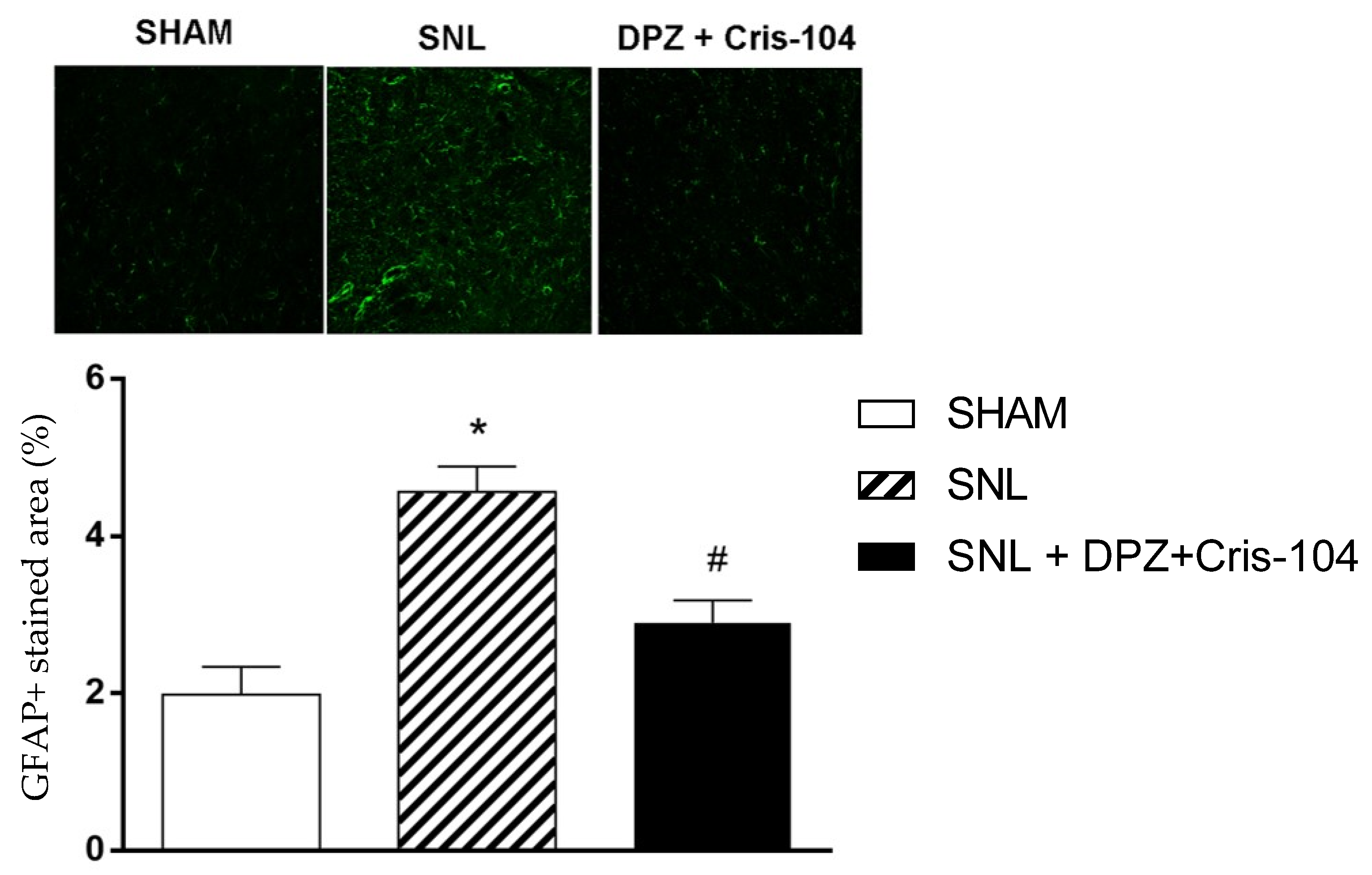 Biomedicines 11 03249 g003