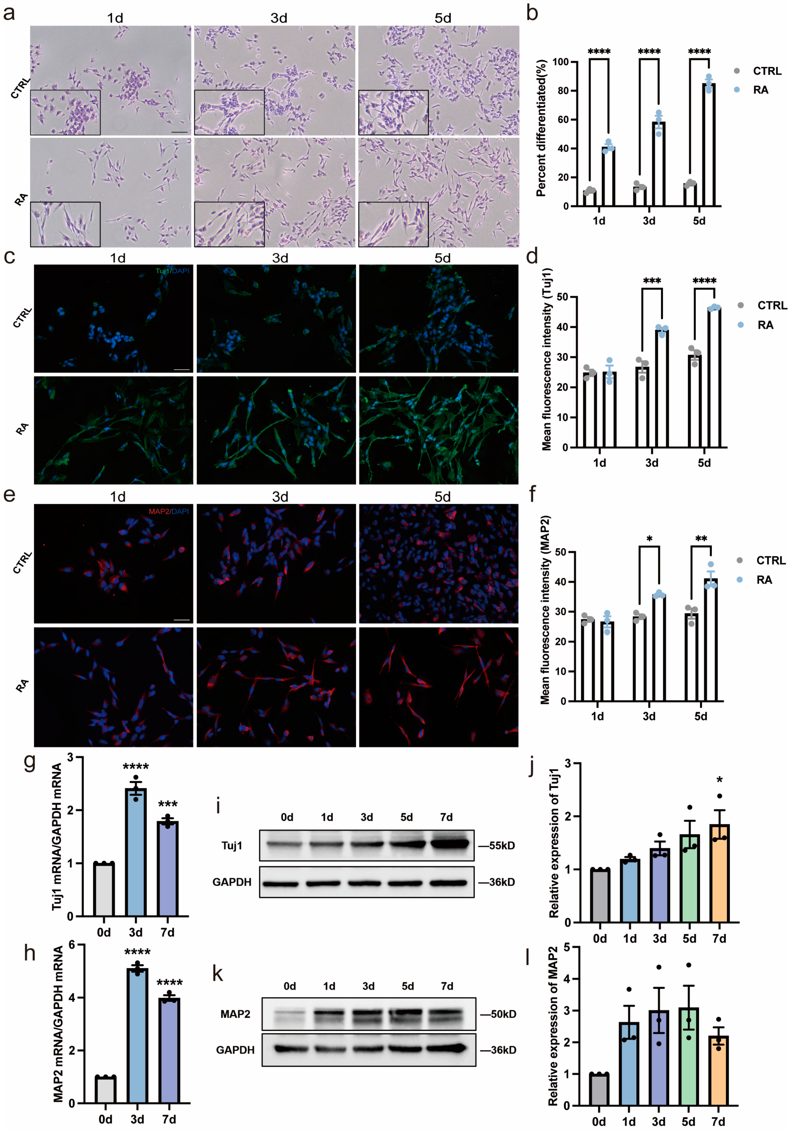 Biomedicines 11 03251 g001
