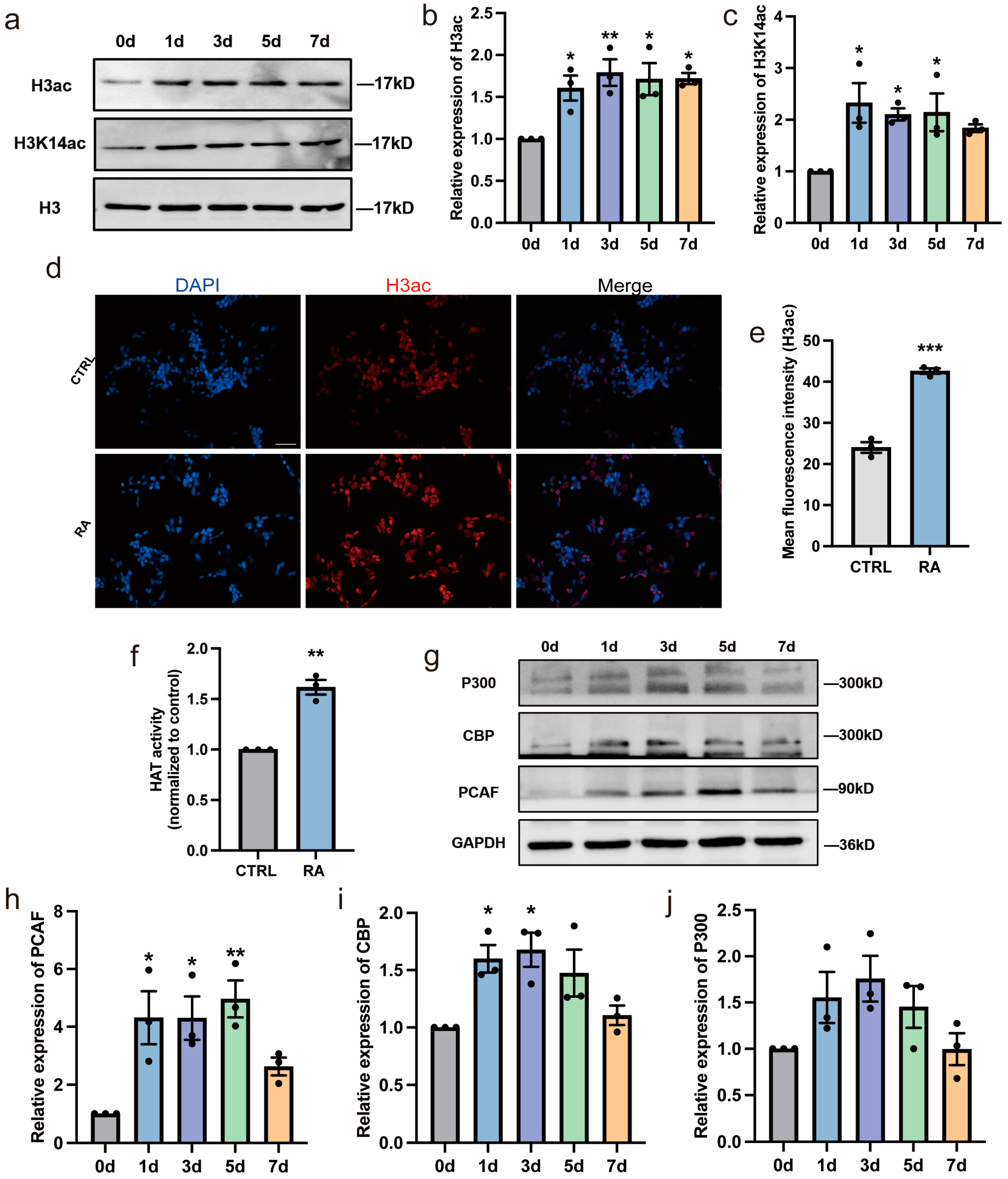 Biomedicines 11 03251 g002