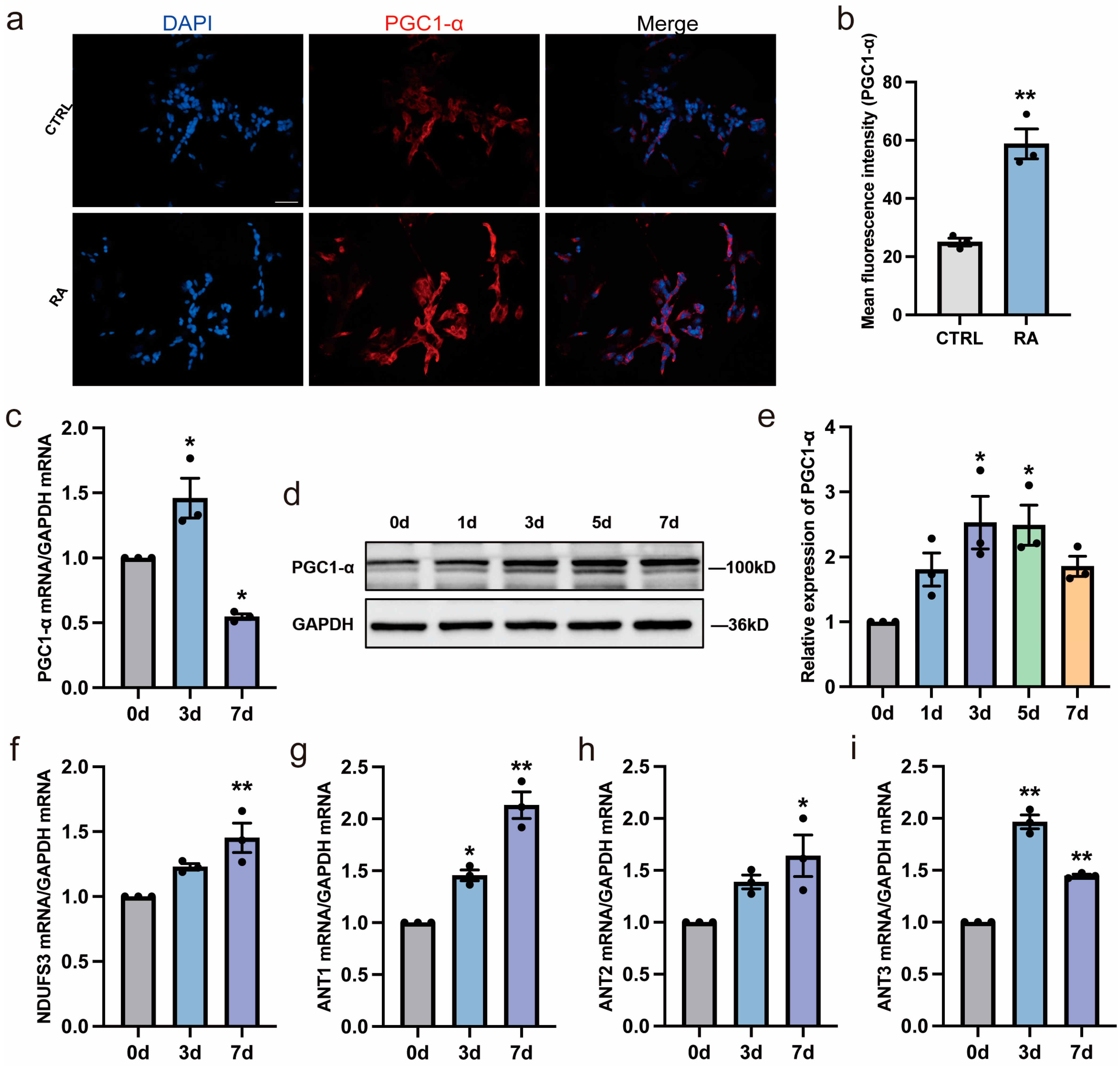 Biomedicines 11 03251 g003