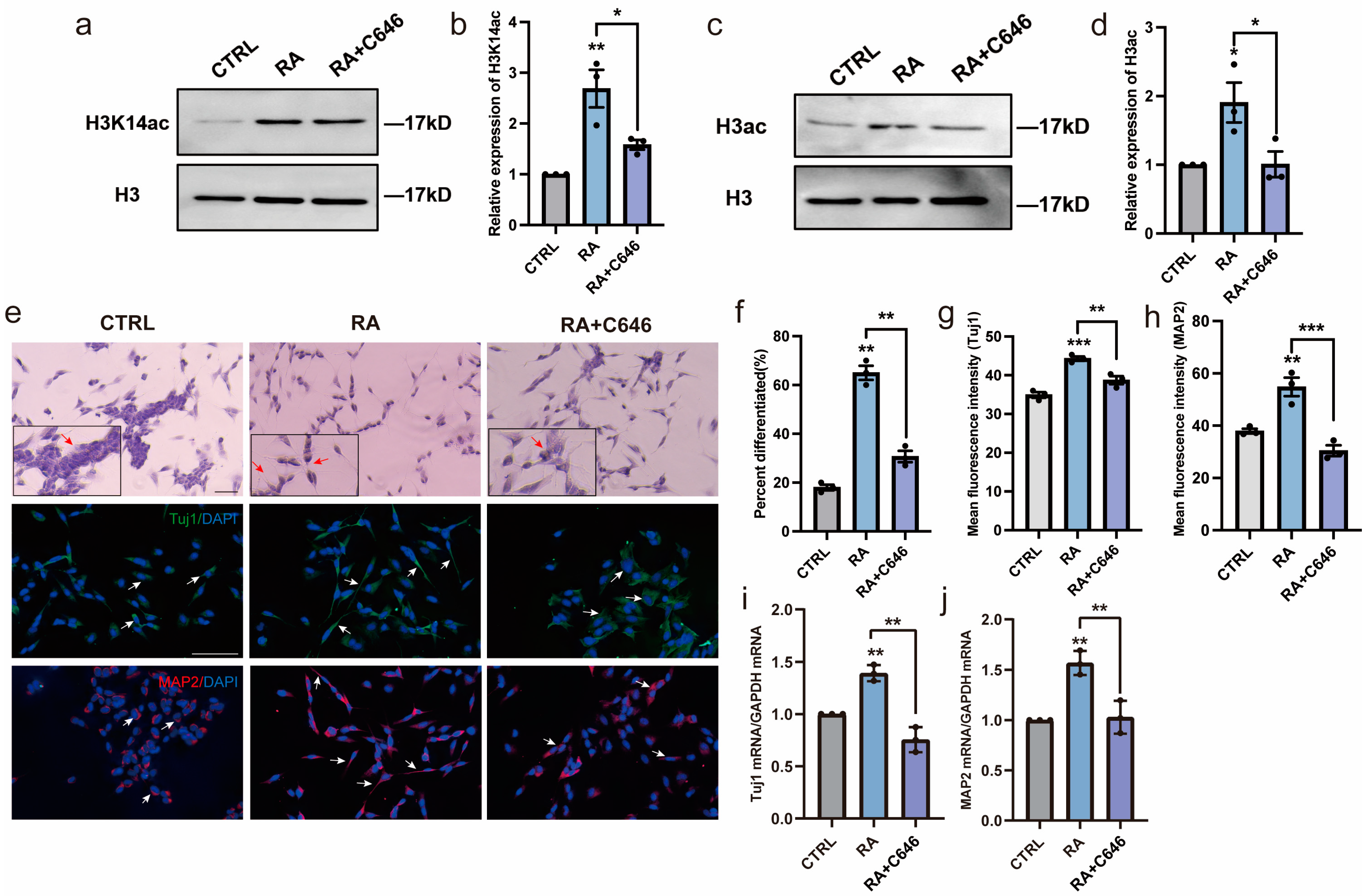 Biomedicines 11 03251 g004