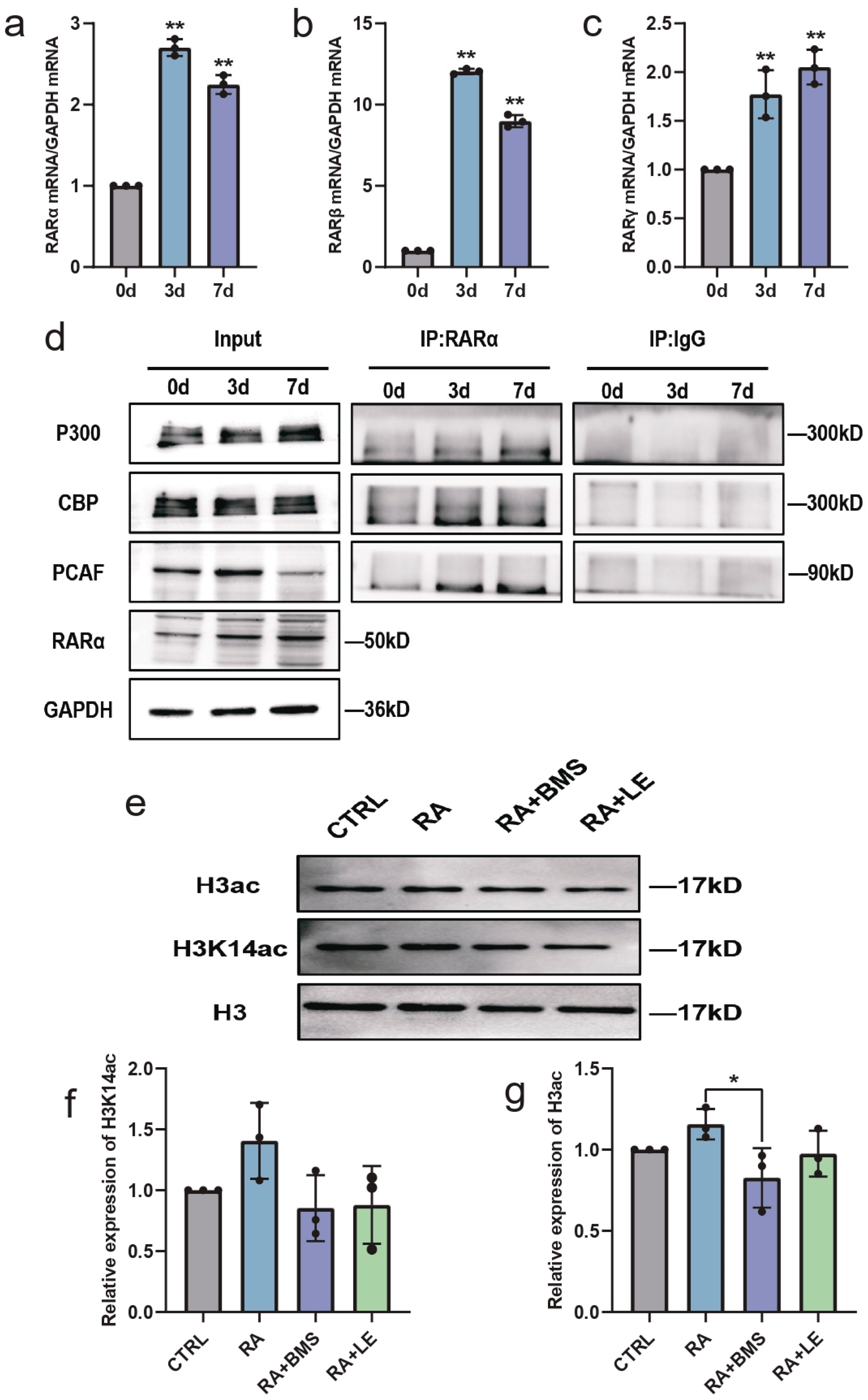 Biomedicines 11 03251 g006