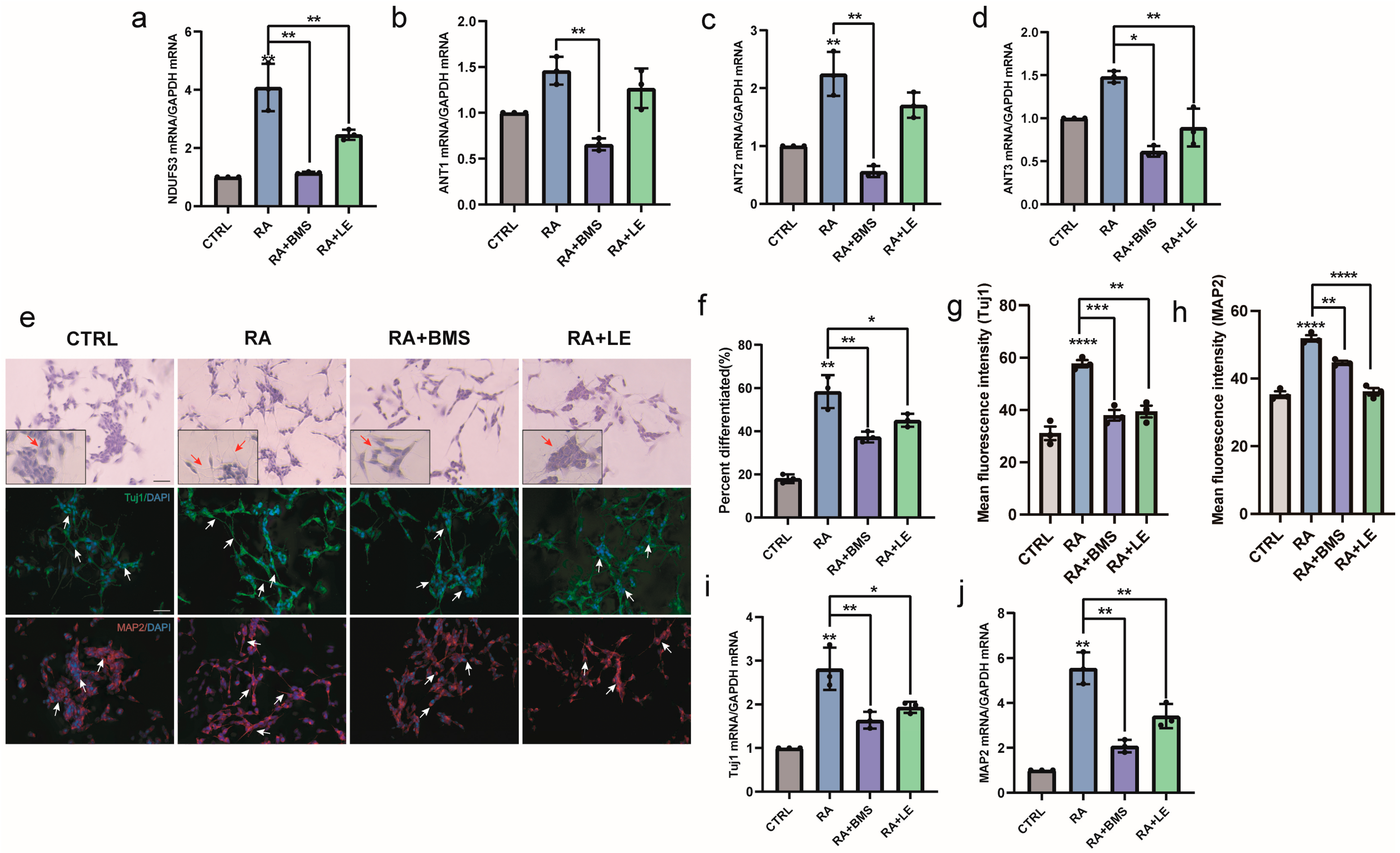Biomedicines 11 03251 g007