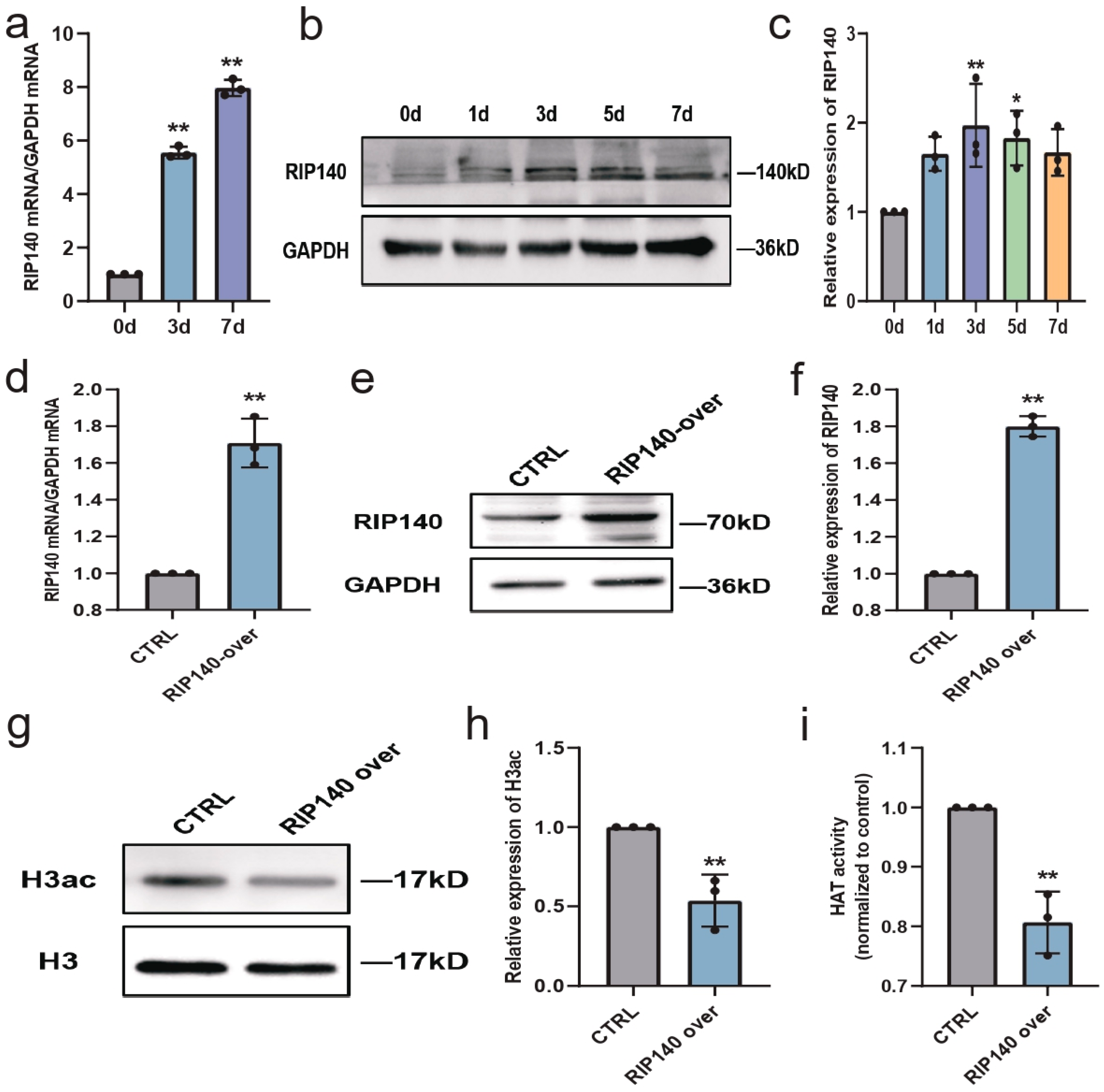 Biomedicines 11 03251 g008