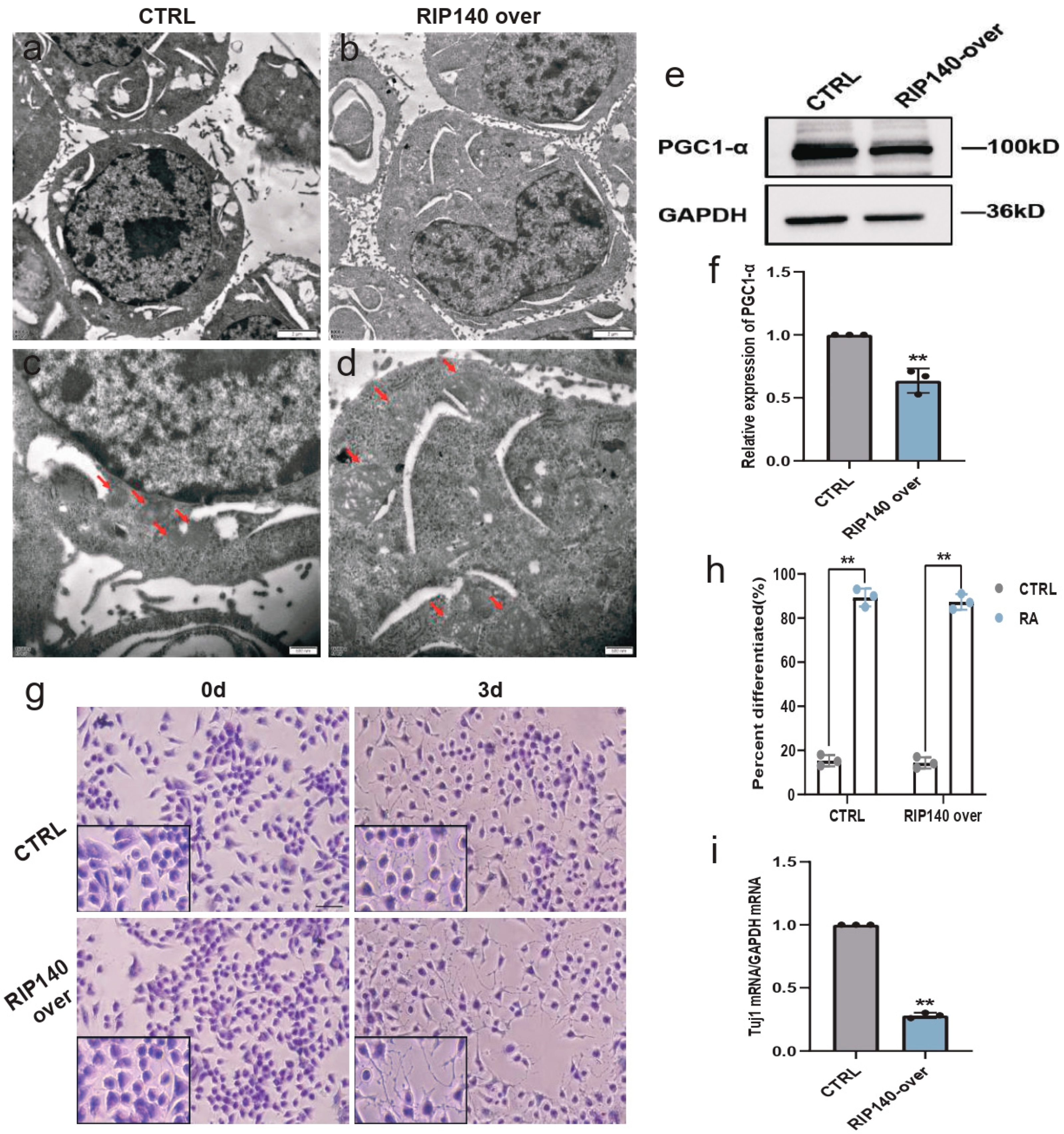 Biomedicines 11 03251 g009