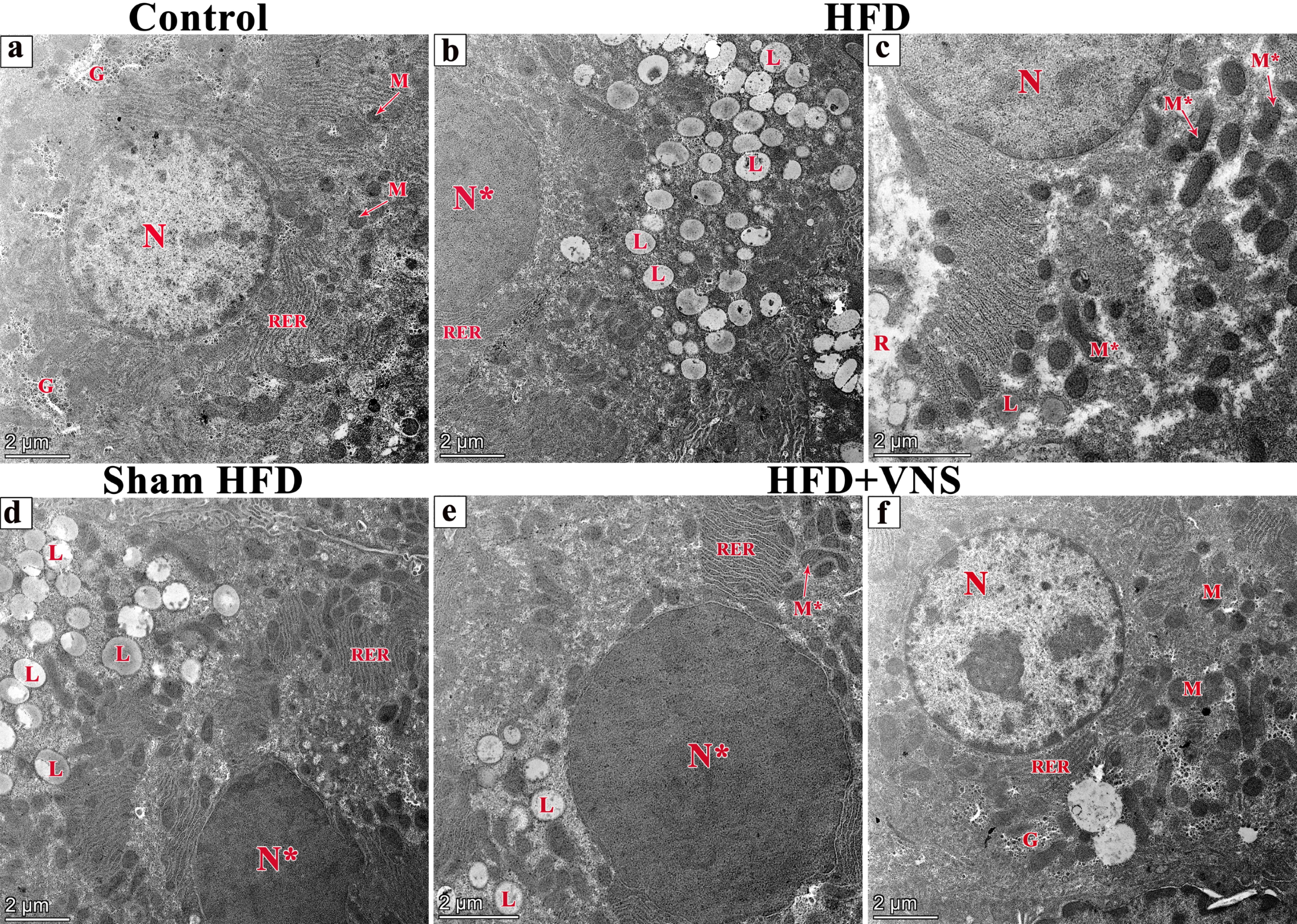 Biomedicines 11 03255 g012