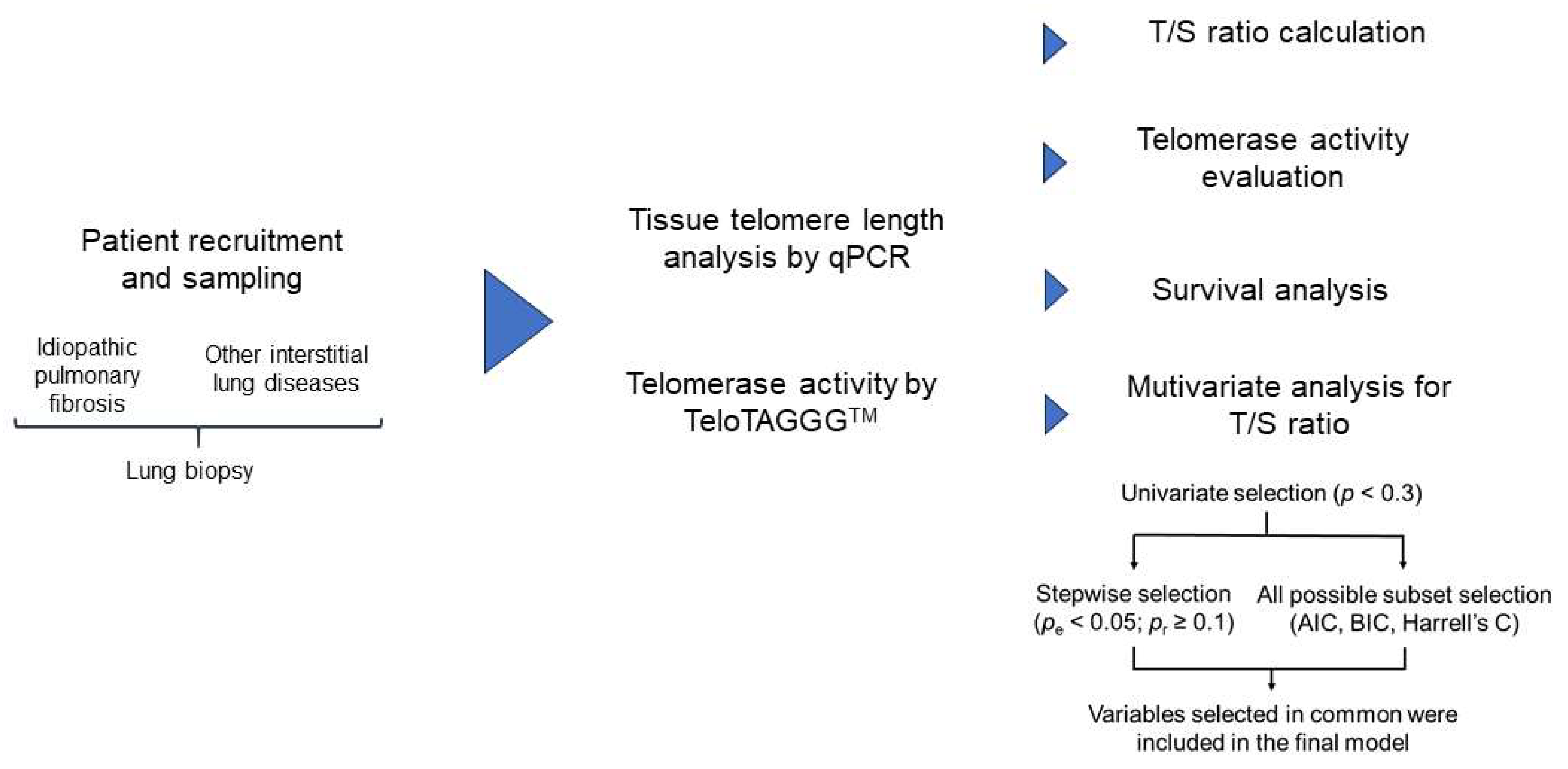 Biomedicines 11 03257 g001