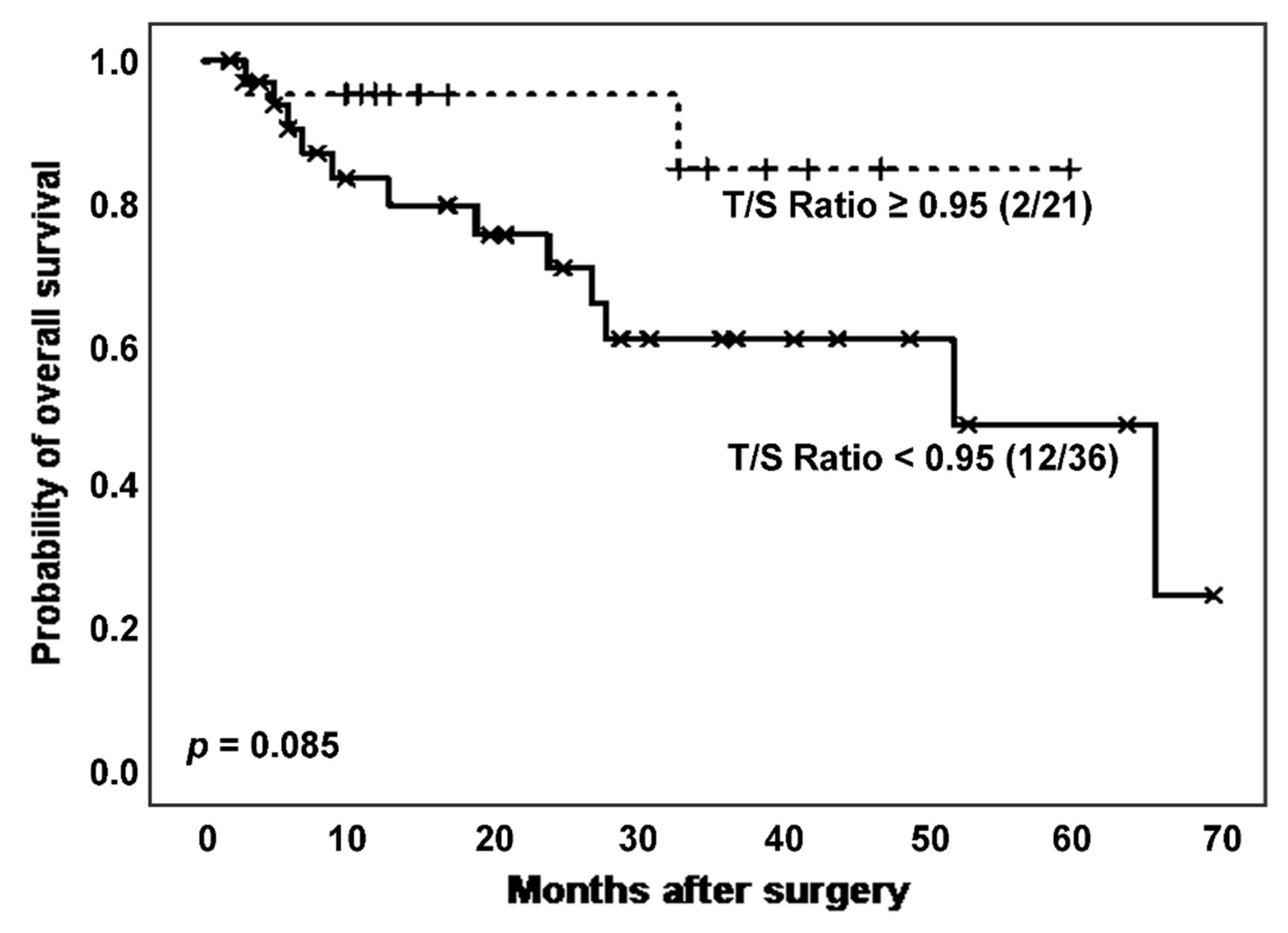 Biomedicines 11 03257 g003