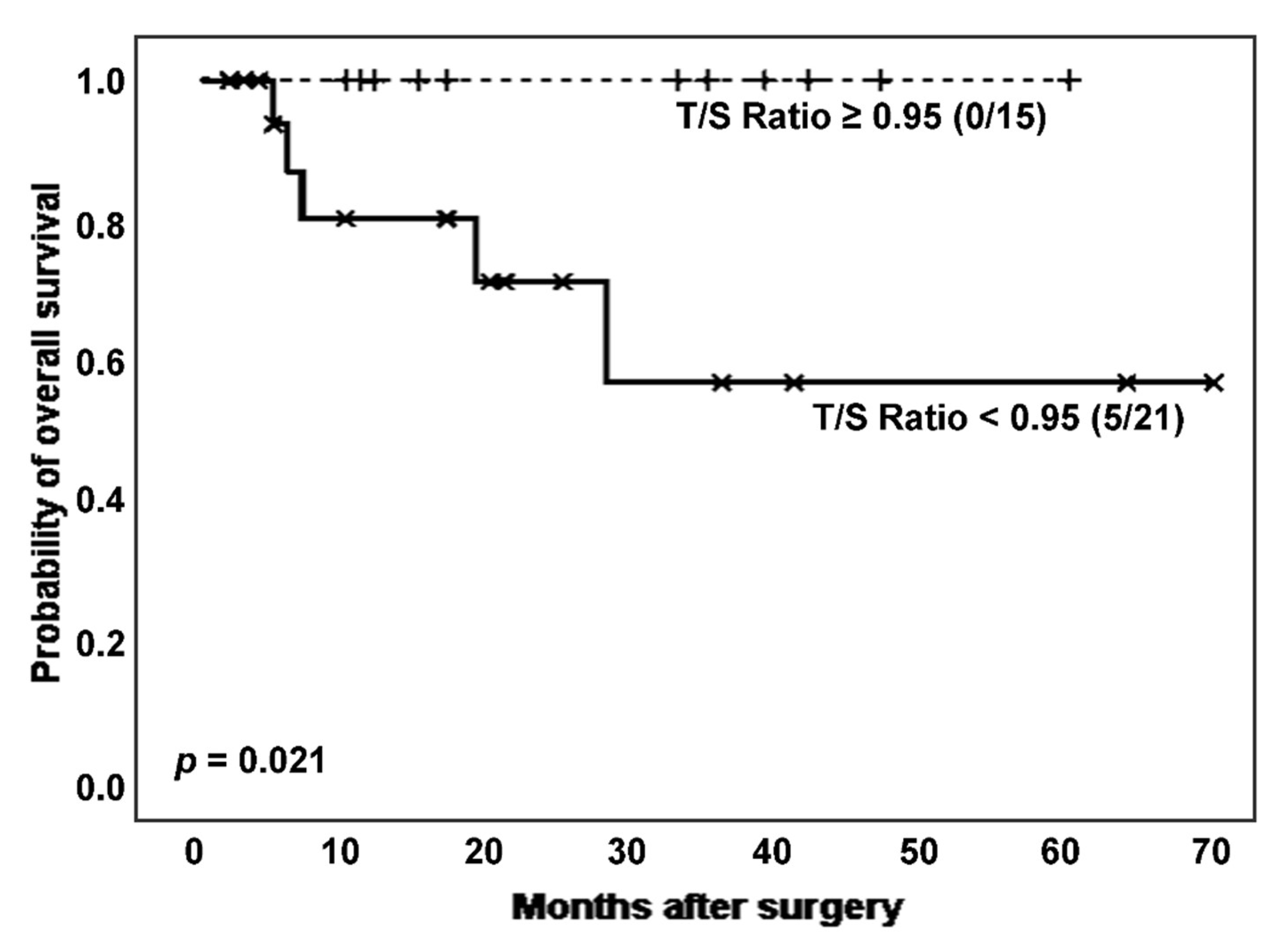 Biomedicines 11 03257 g004