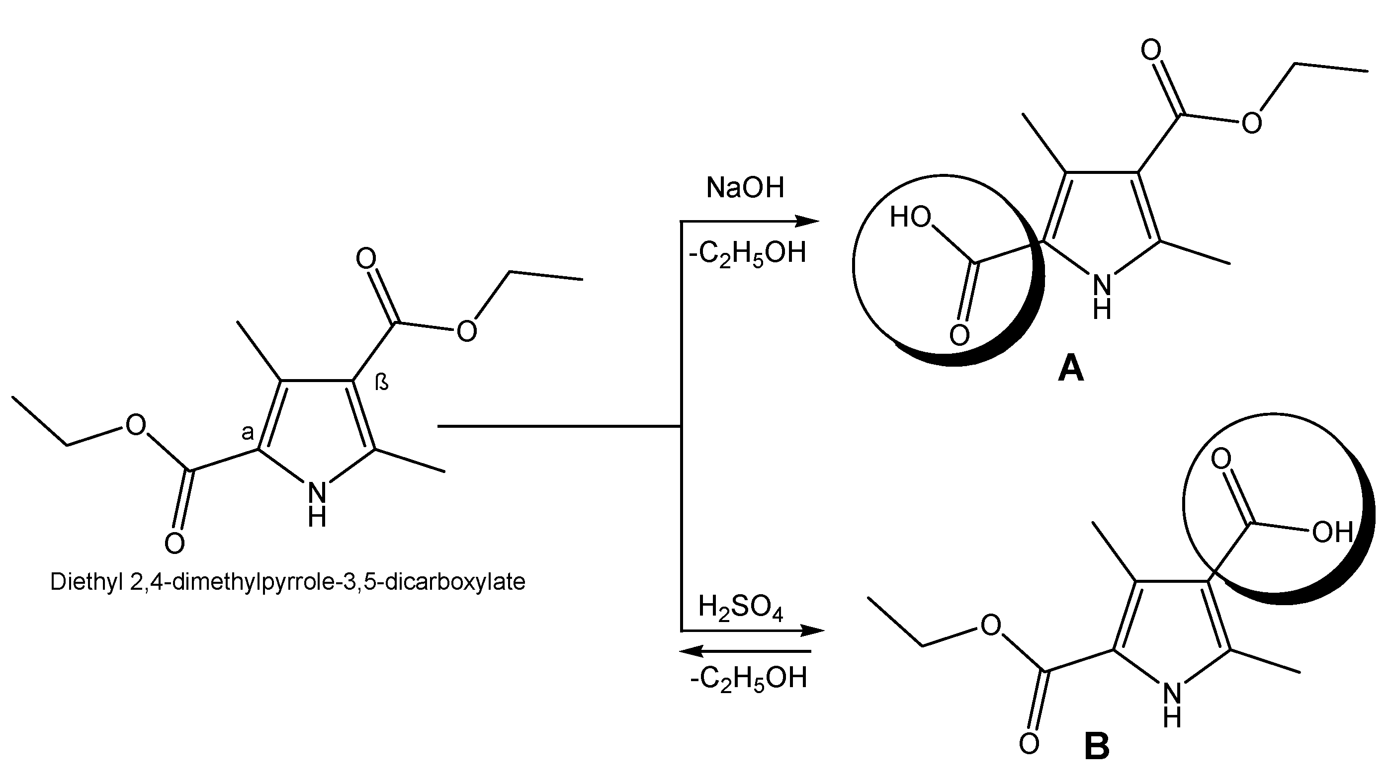 Biomedicines 11 03265 g002