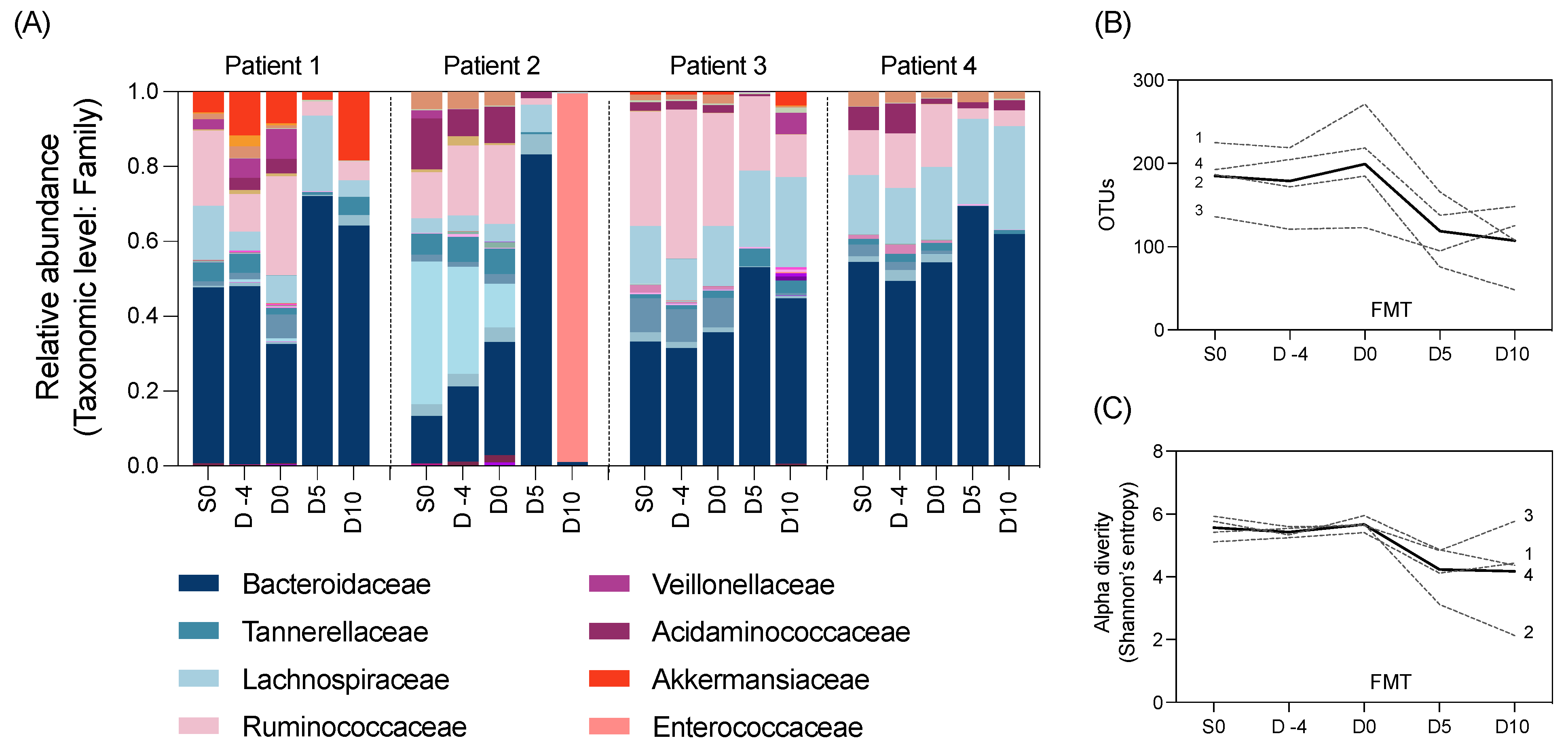 Biomedicines 11 03274 g002