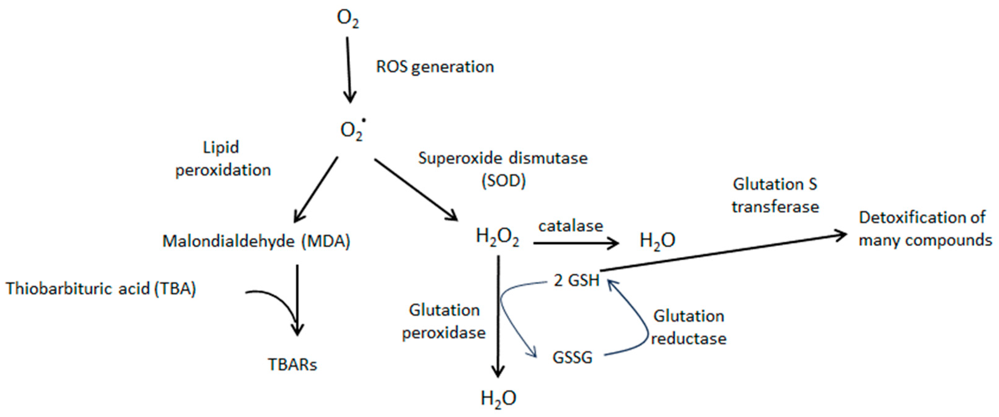 Biomedicines 11 03292 g006