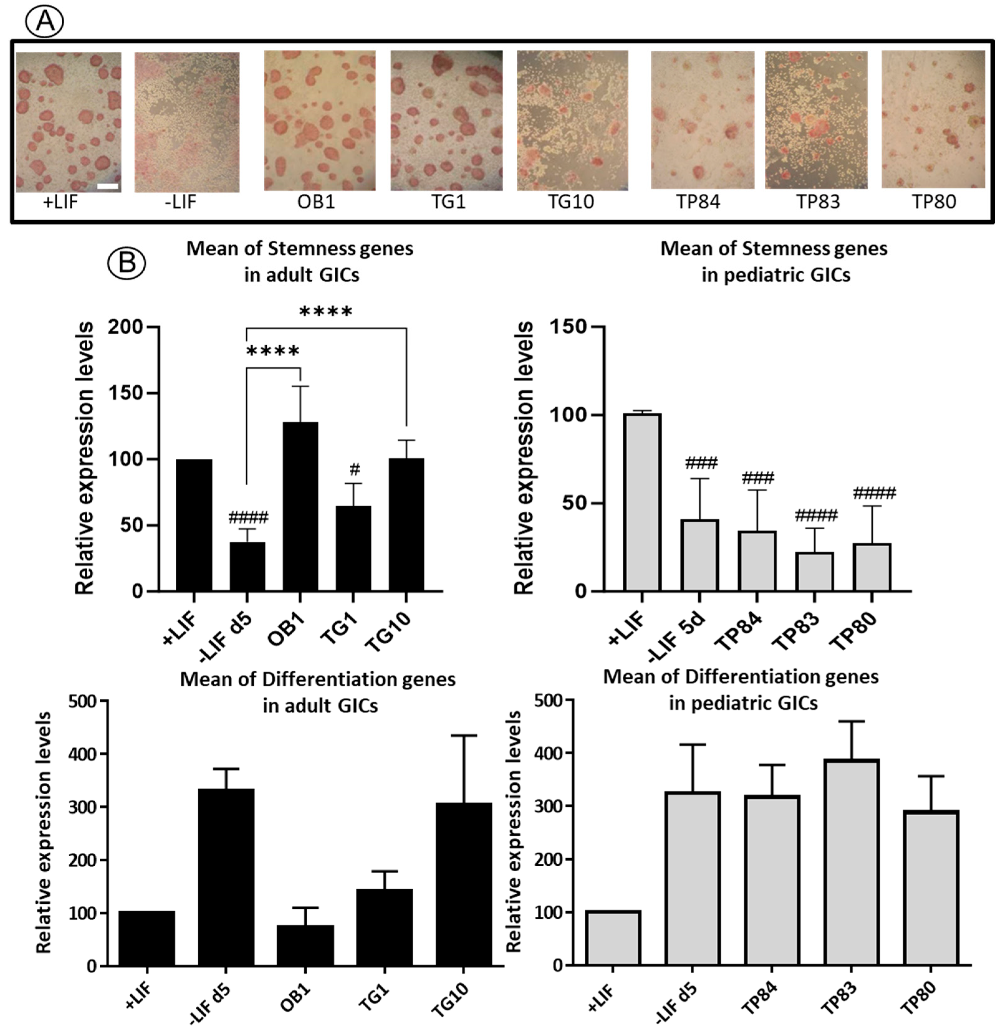 Biomedicines 11 03293 g004