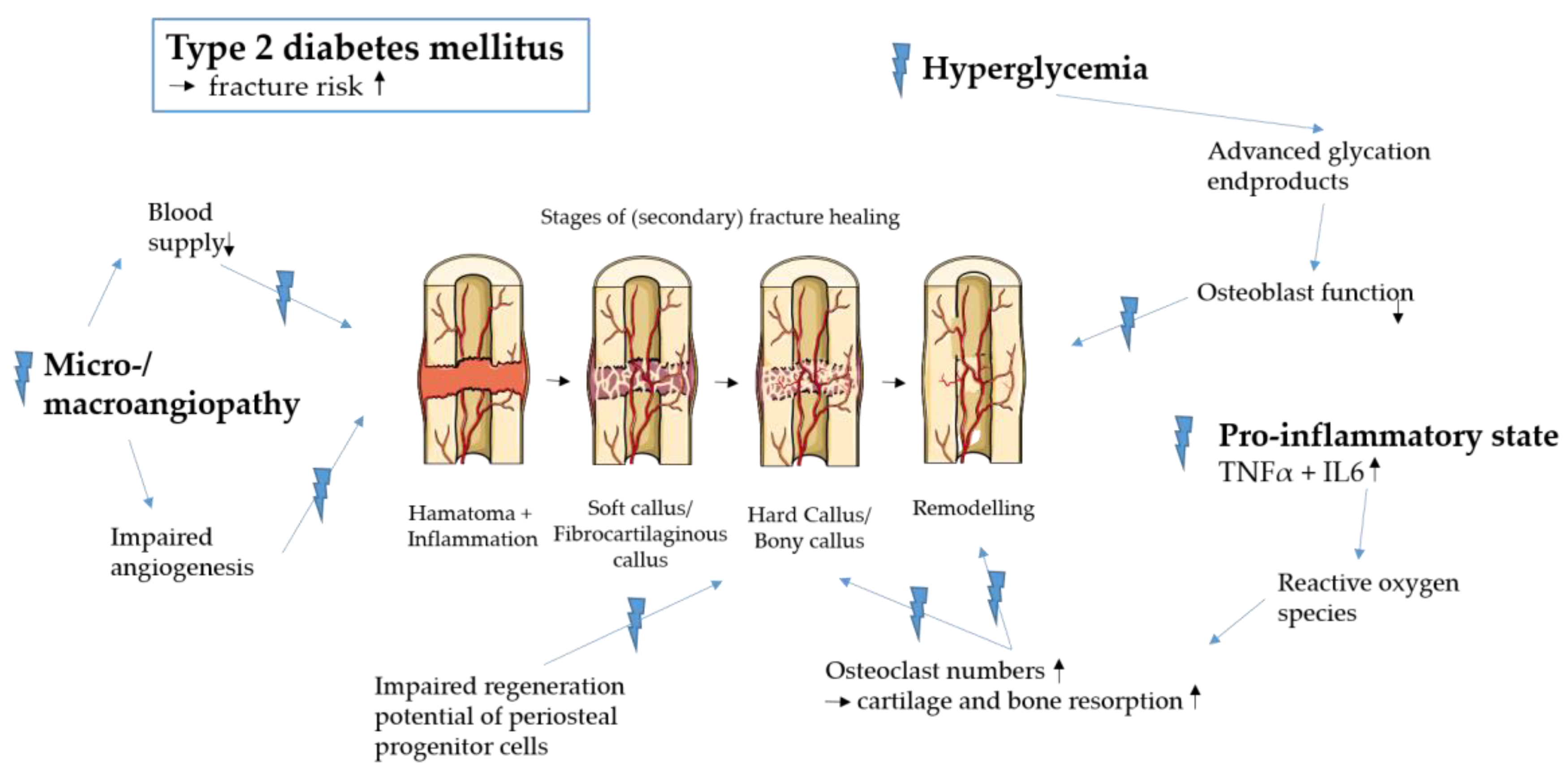 Biomedicines 11 03302 g001