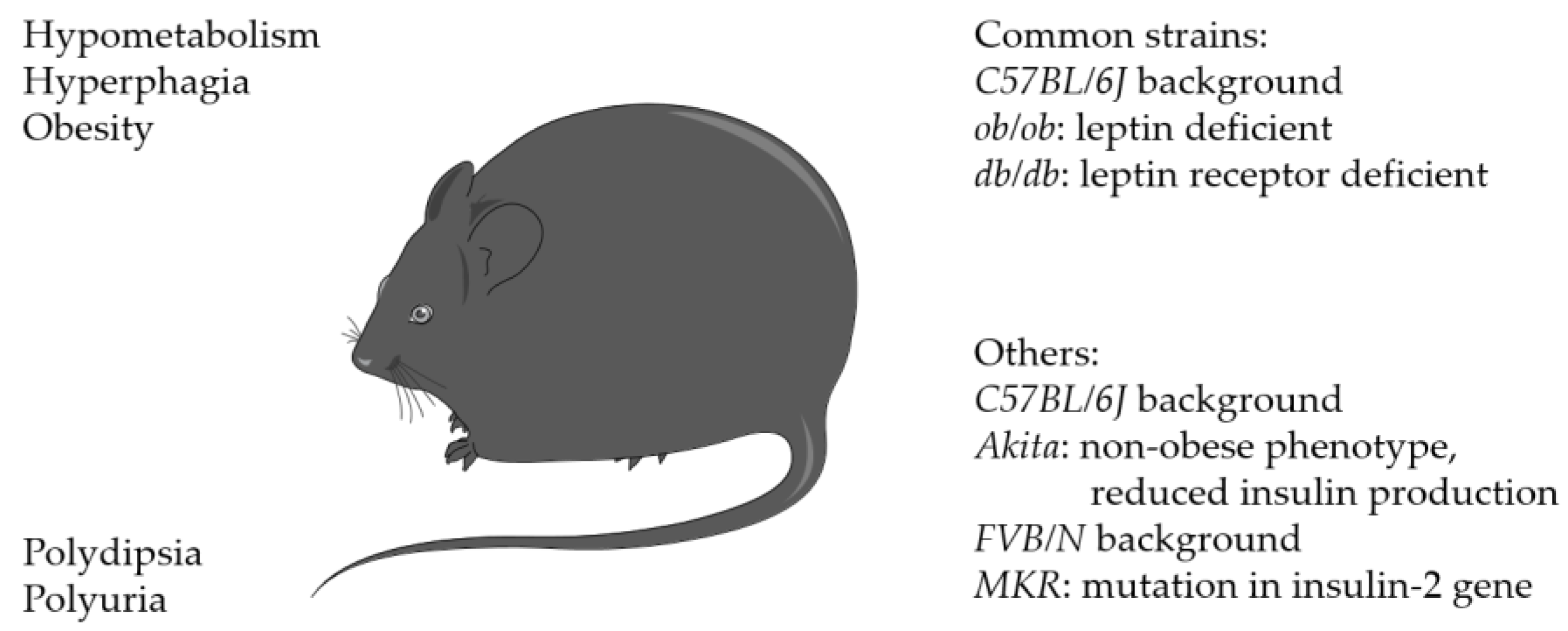 Biomedicines 11 03302 g006