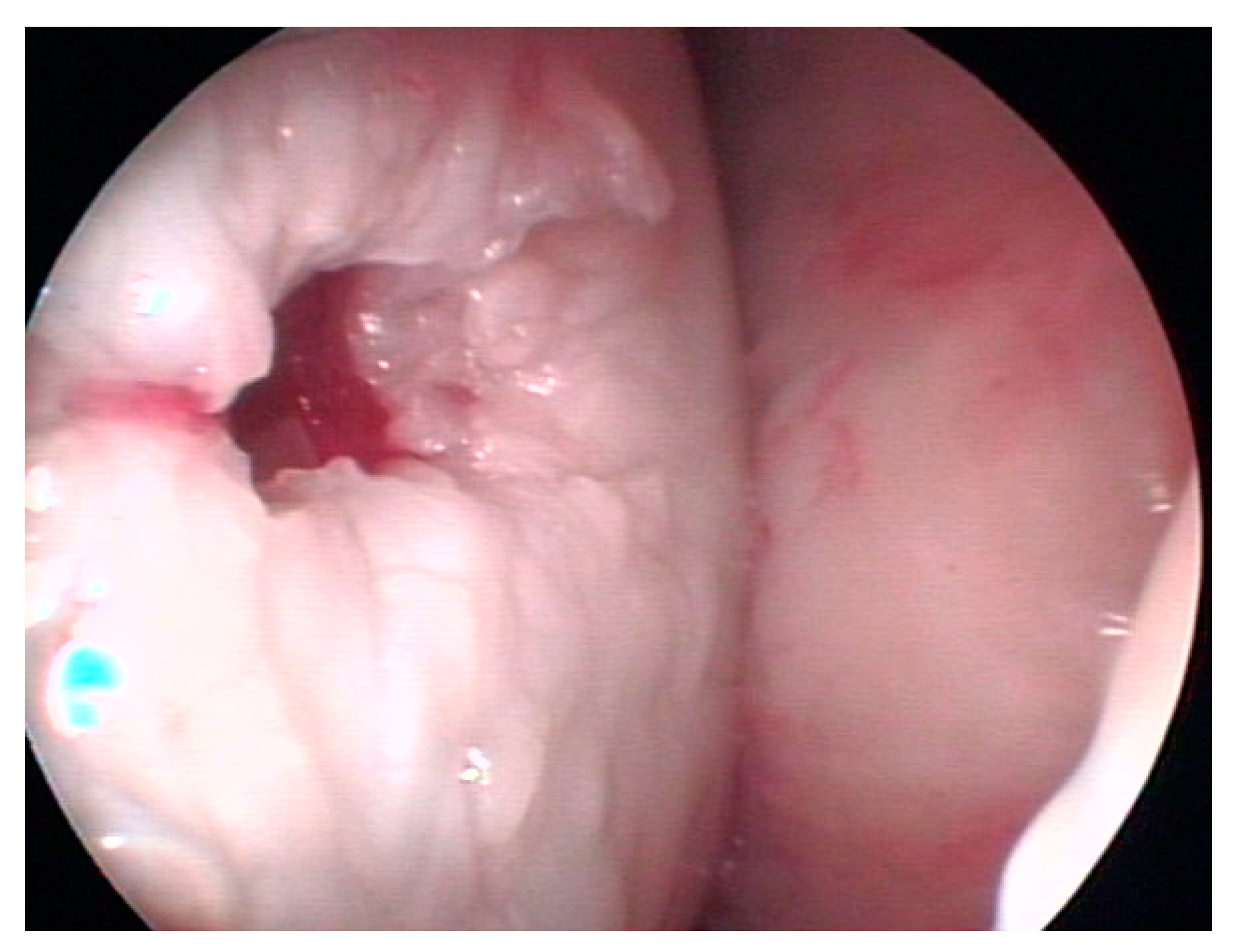 Biomedicines 11 03307 g003