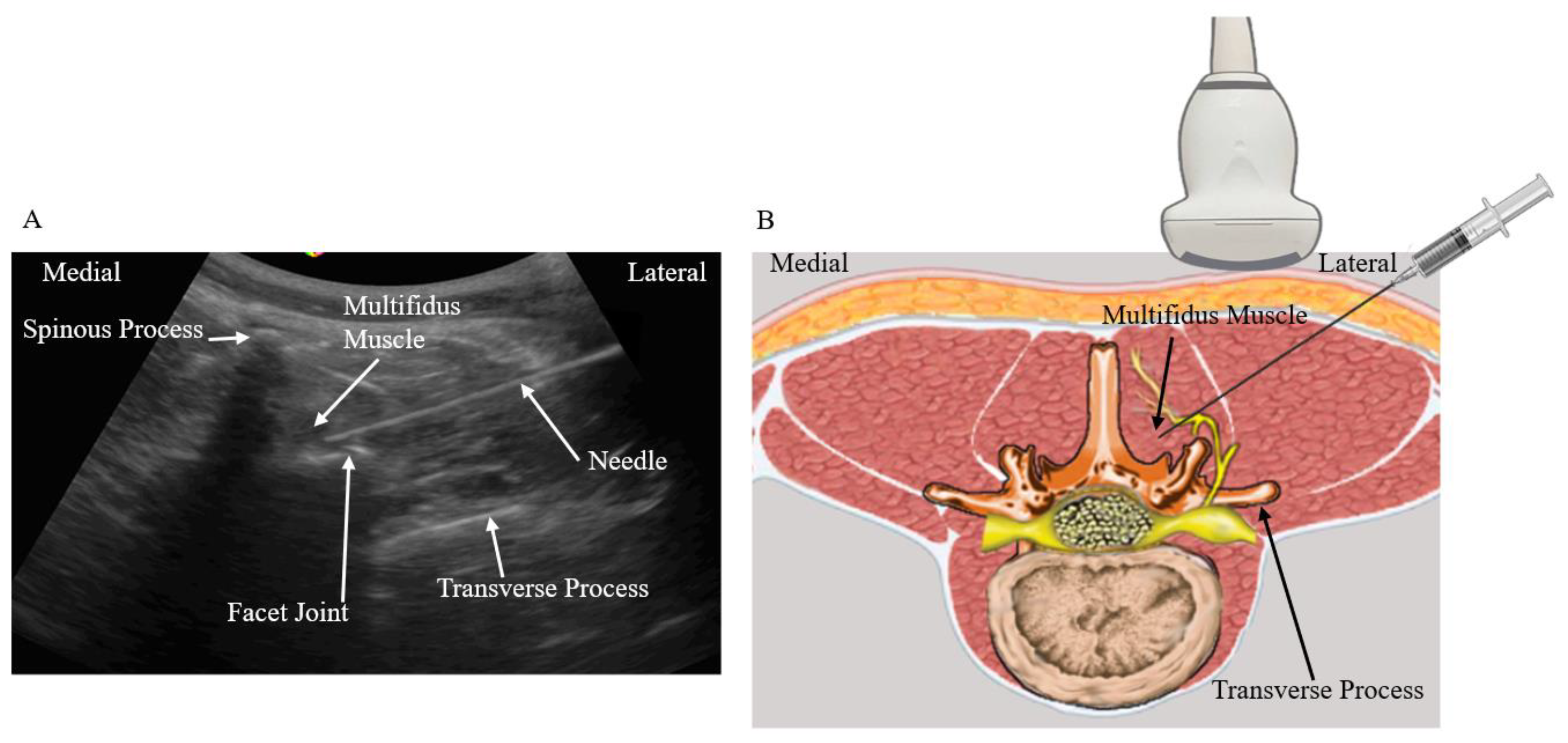 Biomedicines 11 03308 g003