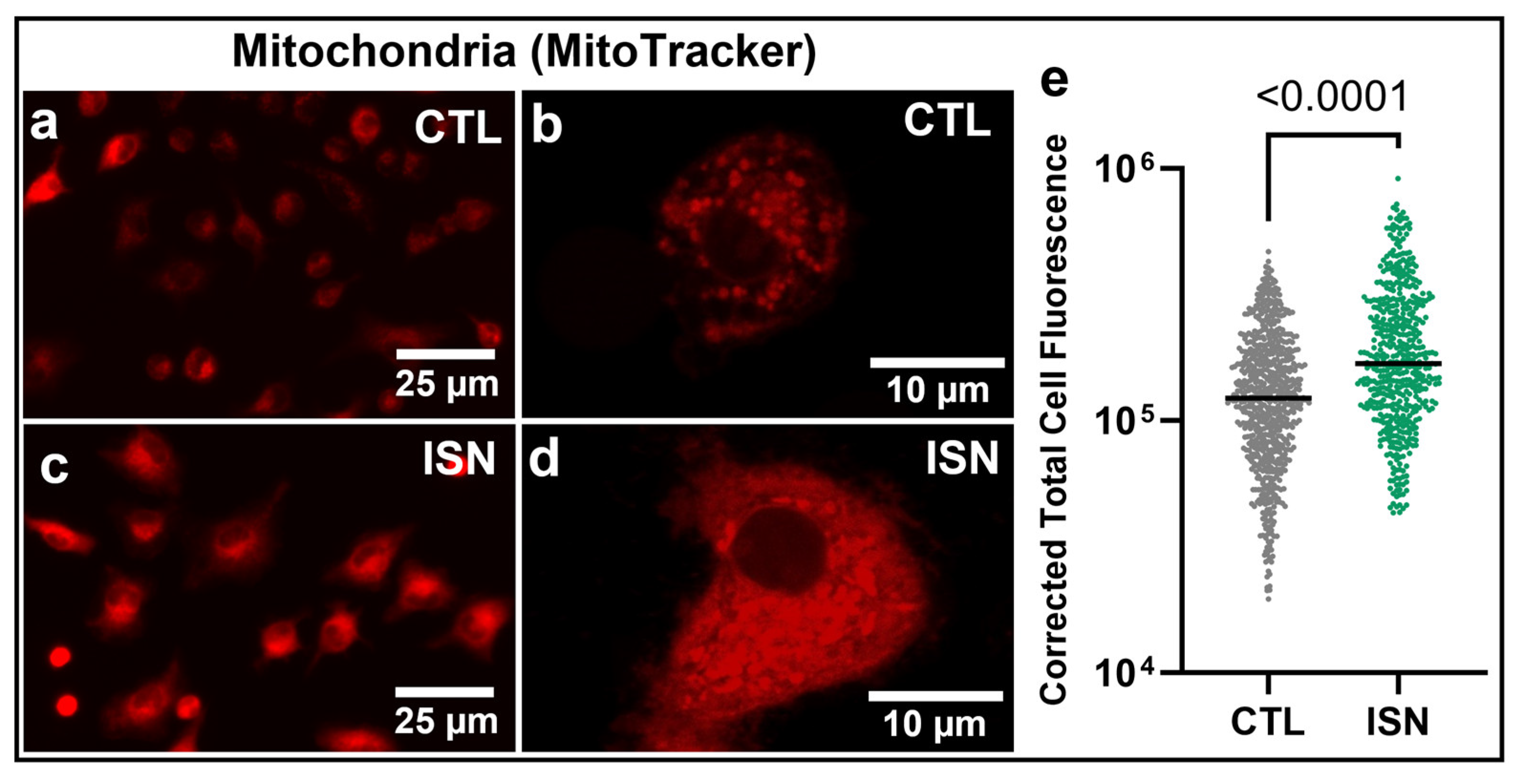 Biomedicines 11 03311 g001