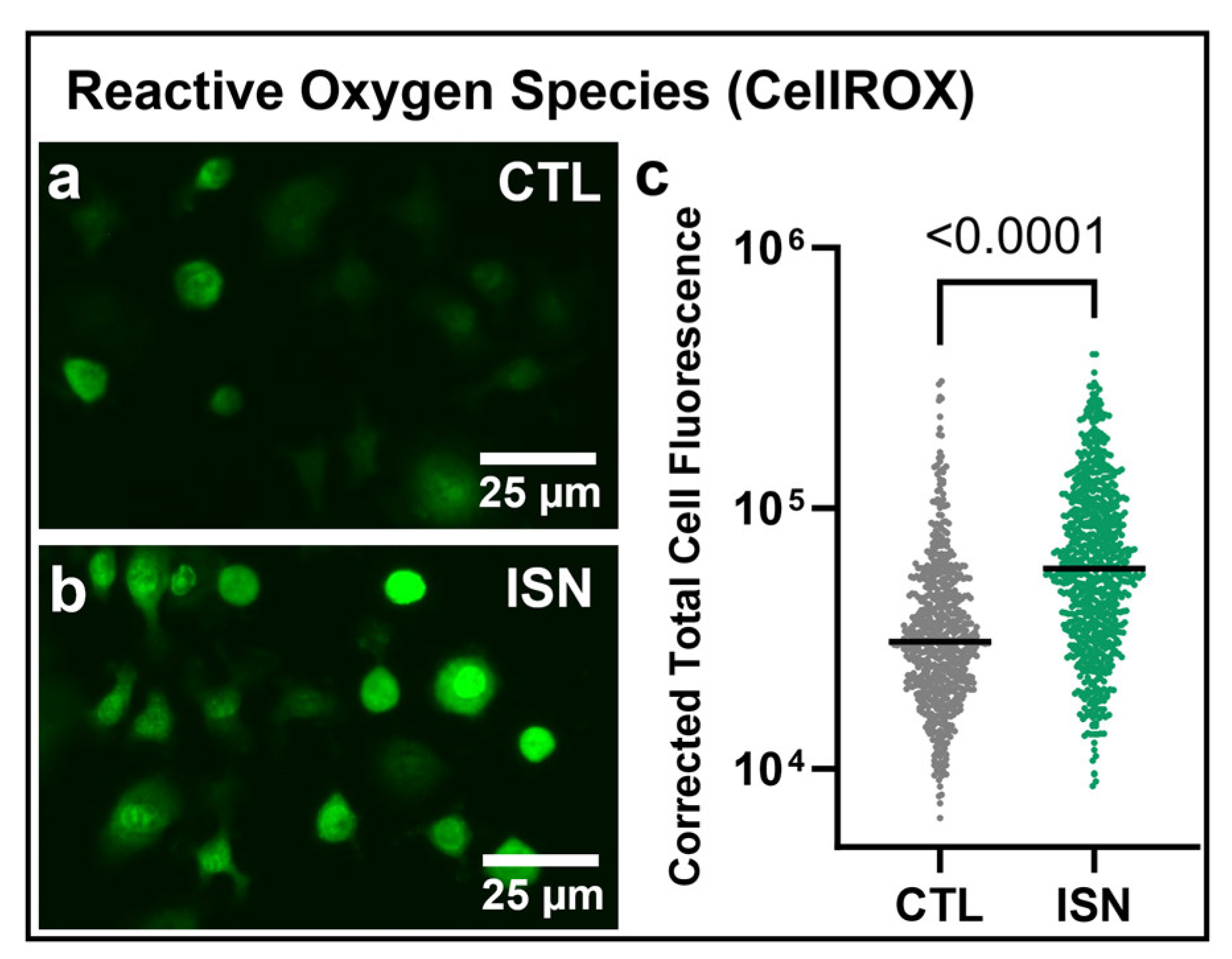 Biomedicines 11 03311 g002